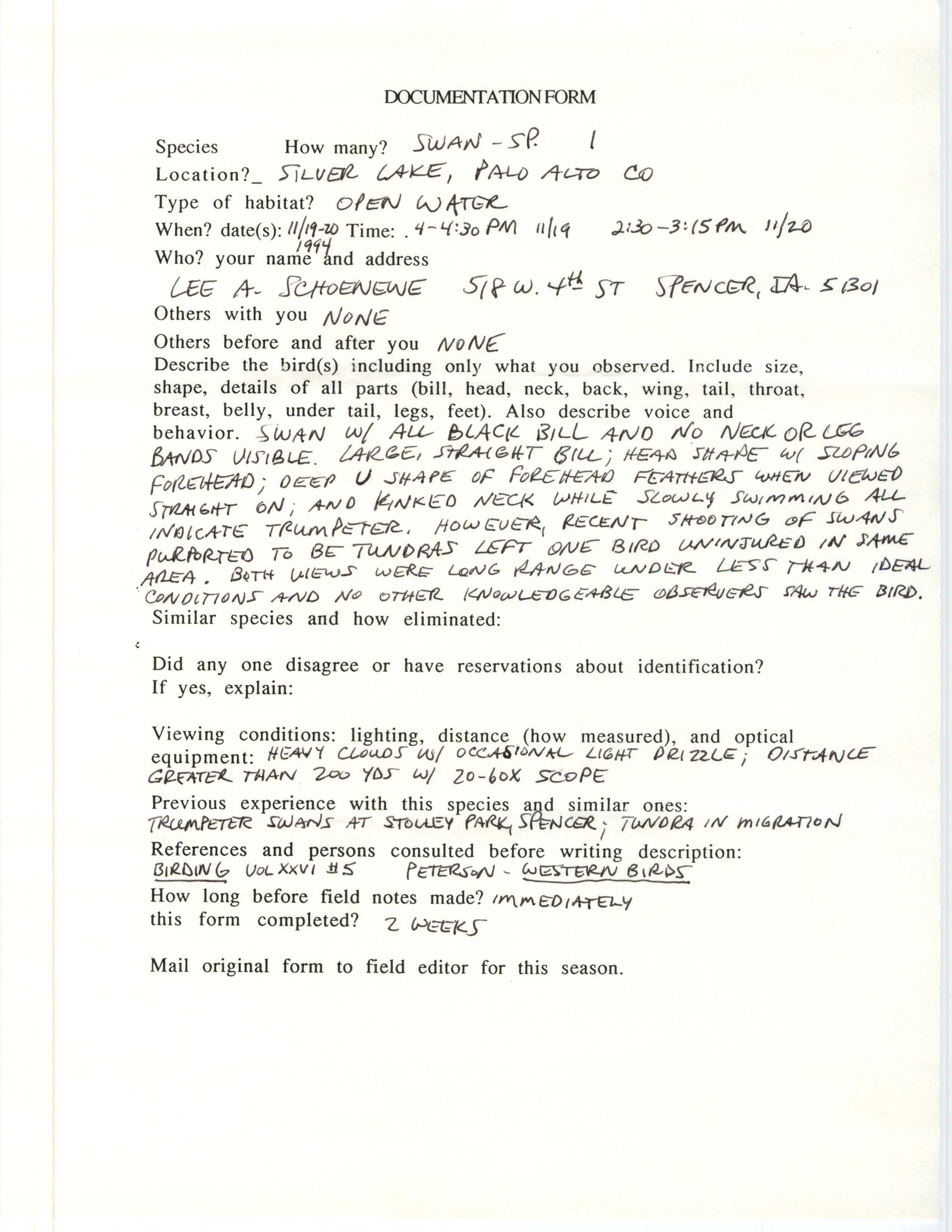 Rare bird documentation form for Swan species at Silver Lake, 1994