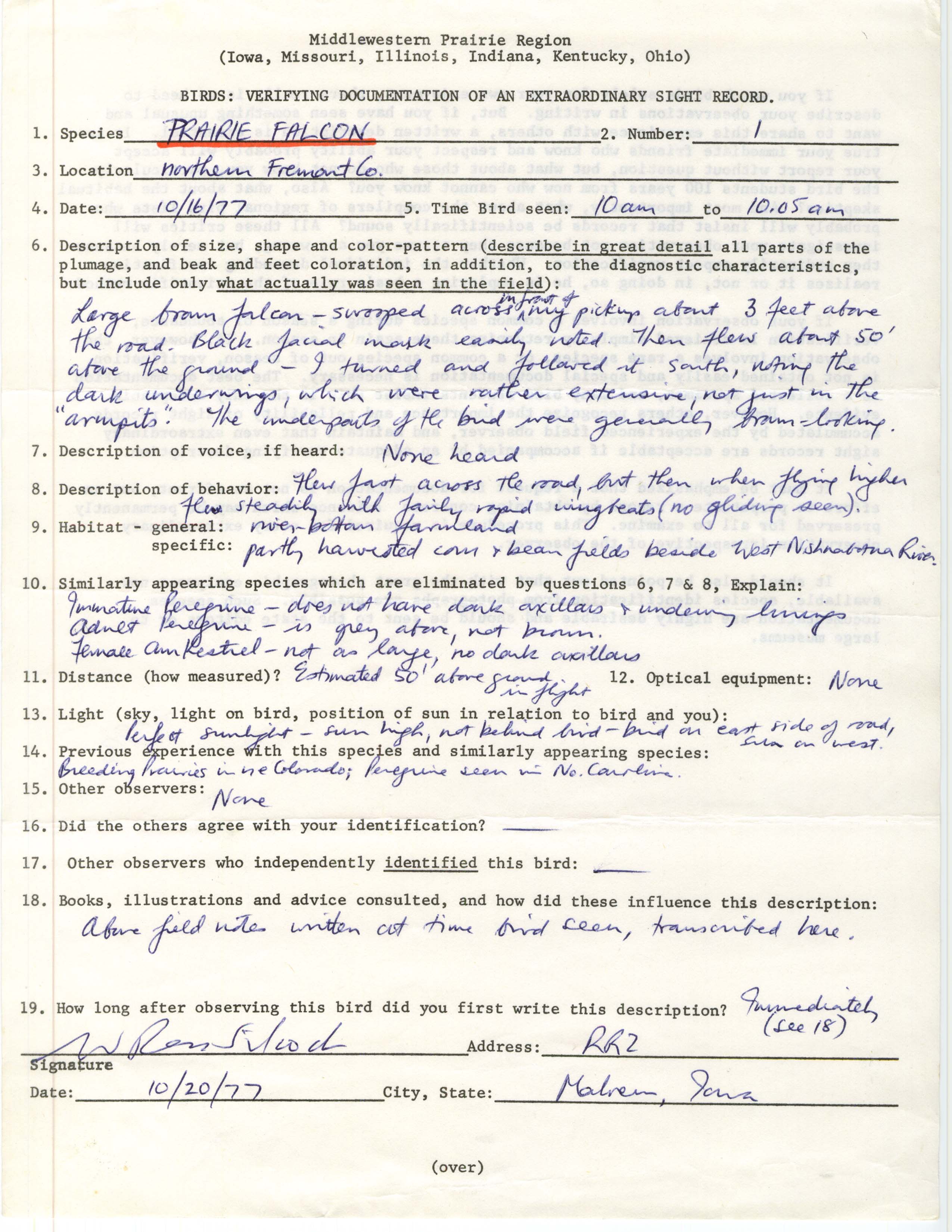 Rare bird documentation form for Prairie Falcon at northern Fremont County, 1977