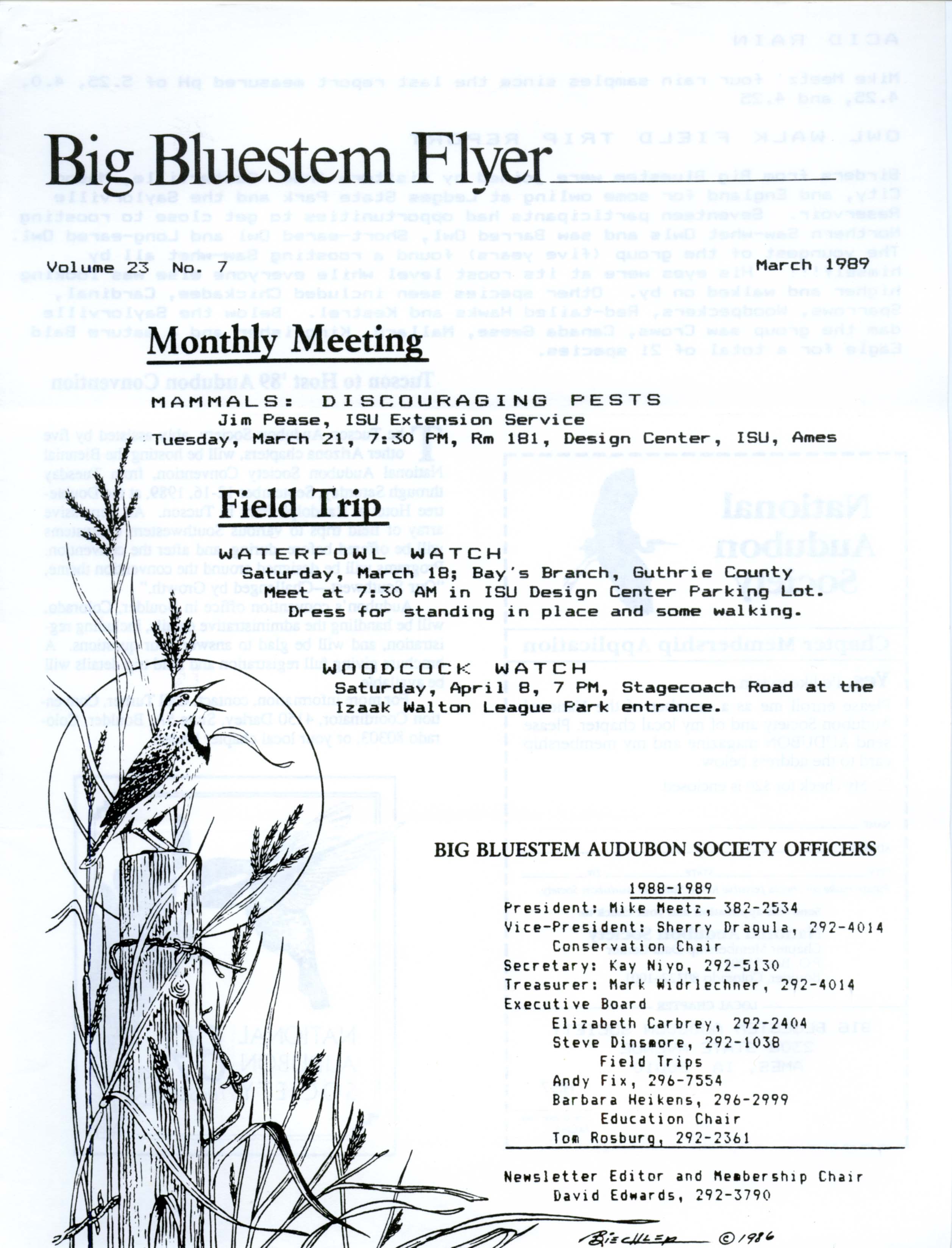 Big Bluestem Flyer, Volume 23, Number 7, March 1989