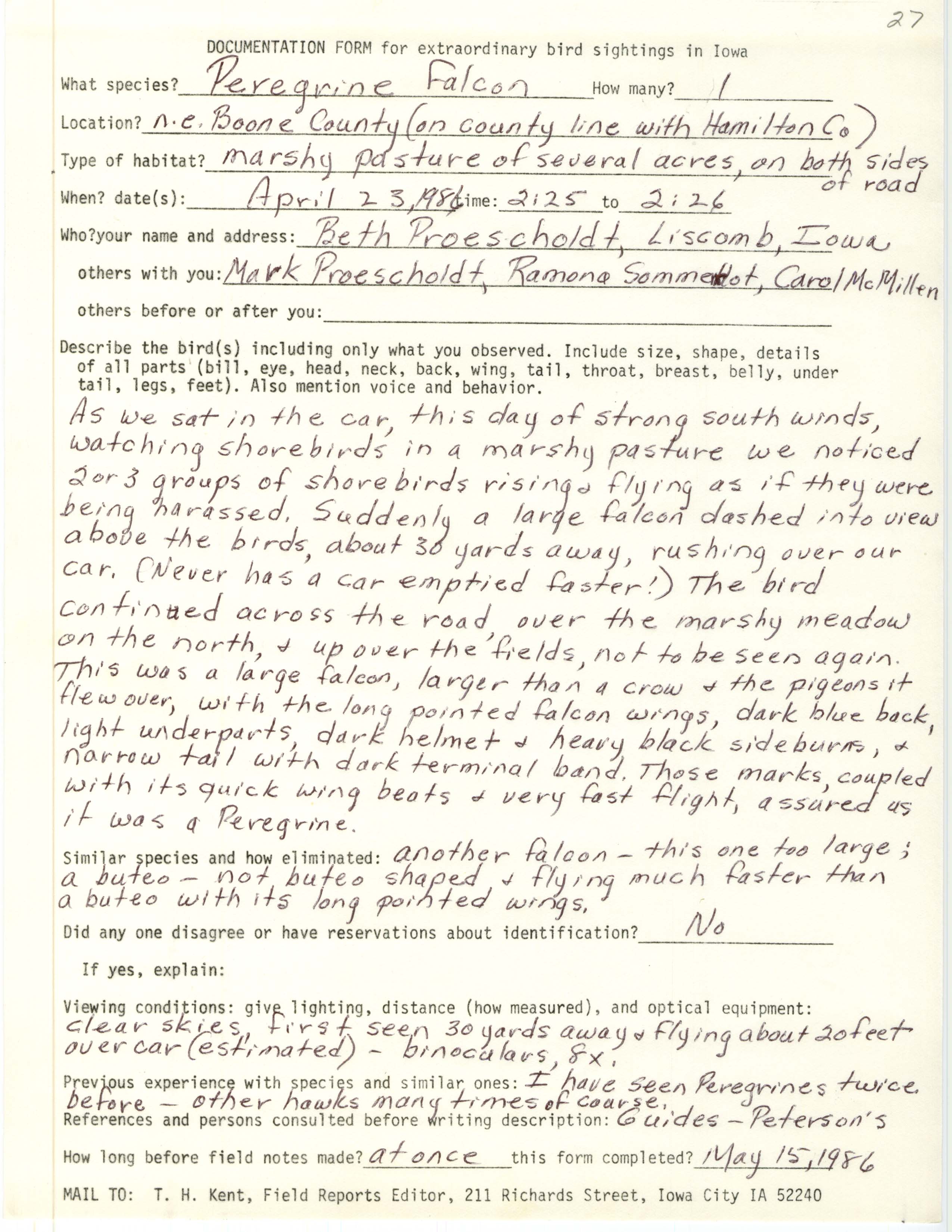 Rare bird documentation form for Peregrine Falcon at northeast Boone County, 1986