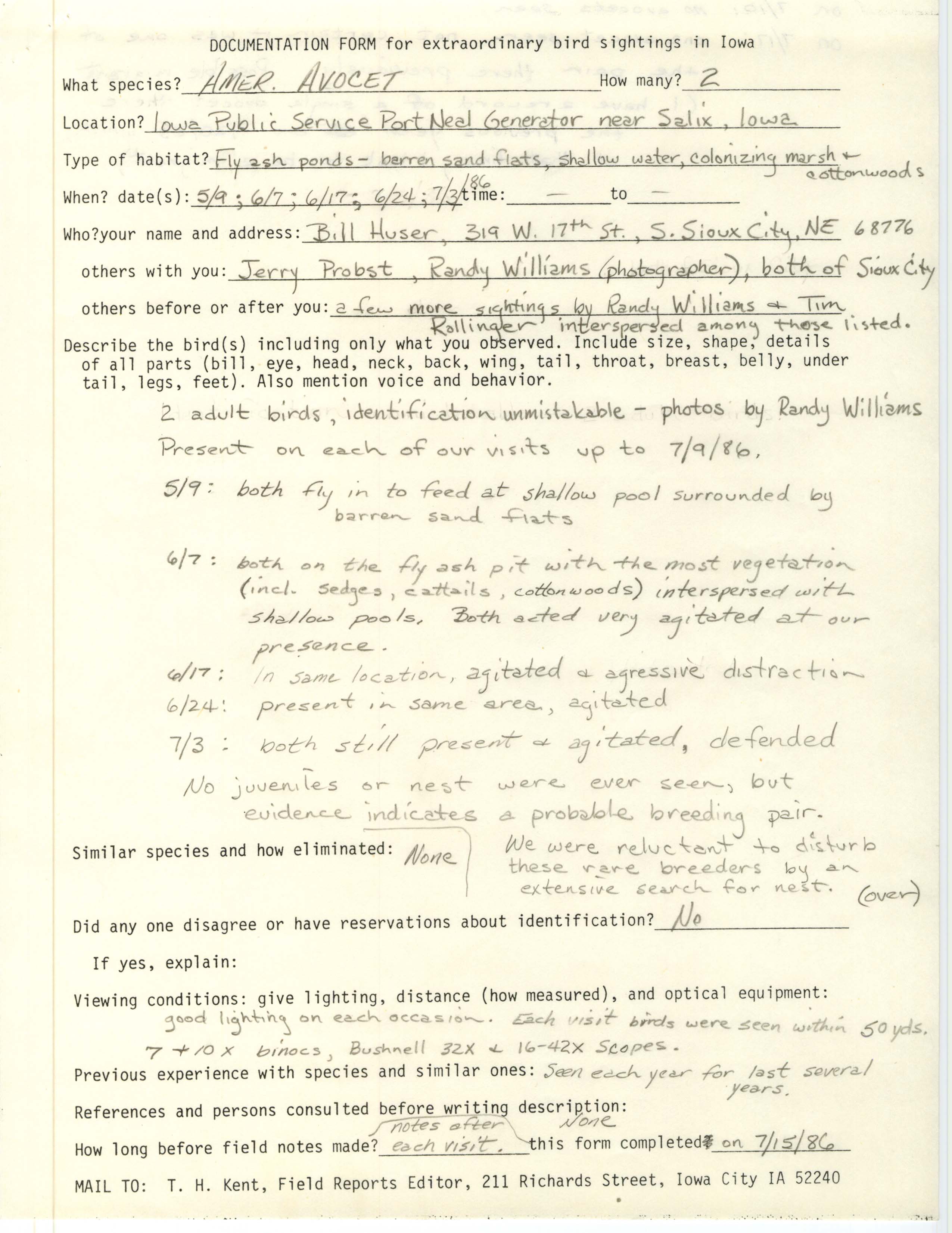 Rare bird documentation form for American Avocet near New Lake, 1986