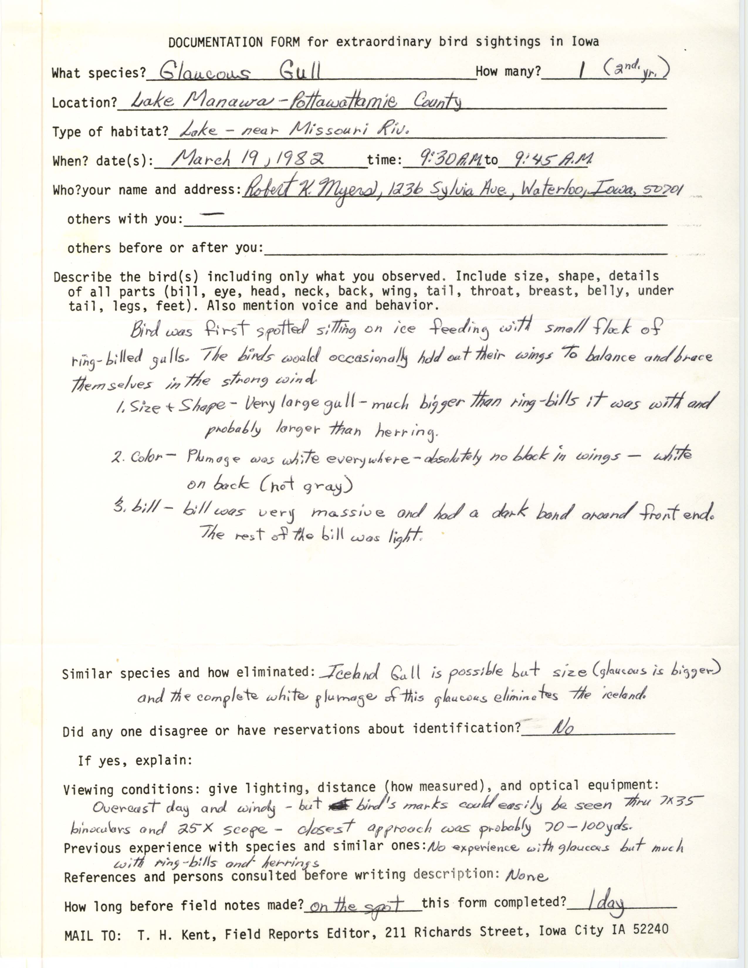 Rare bird documentation form for Glaucous Gull at Lake Manawa, 1982