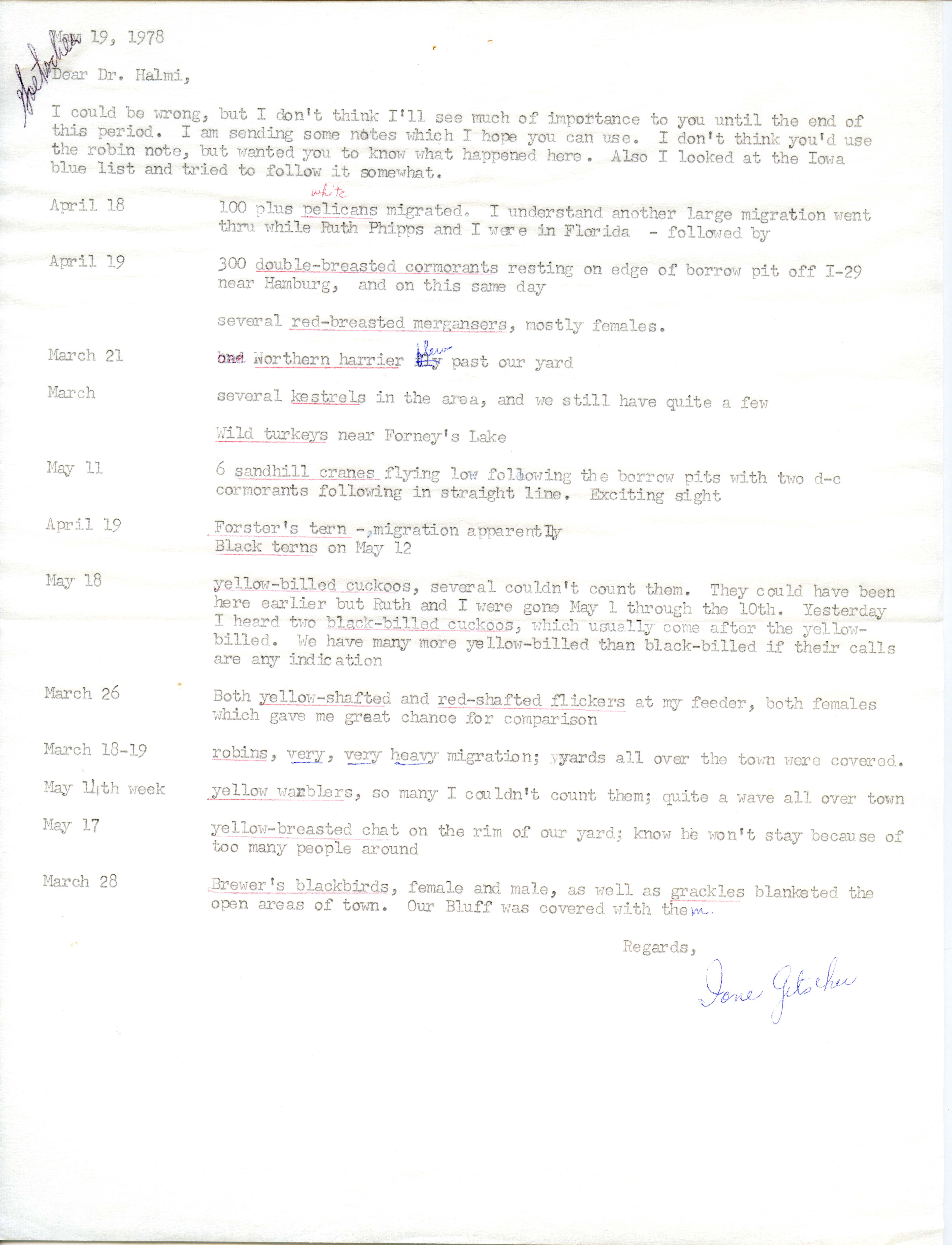 Ione Getscher letter to Nicholas S. Halmi regarding bird sightings, May 19, 1978 