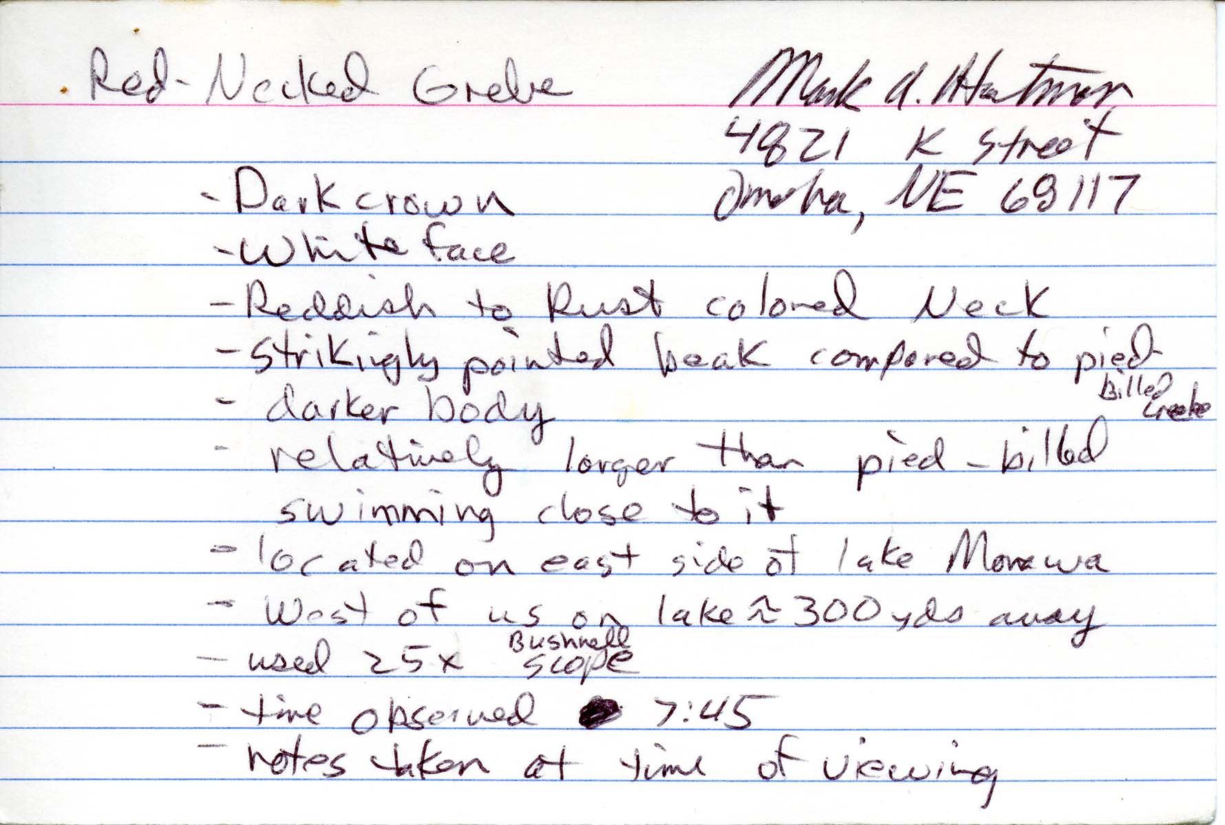 Field notes contributed by Mark A. Hartman, spring 1988
