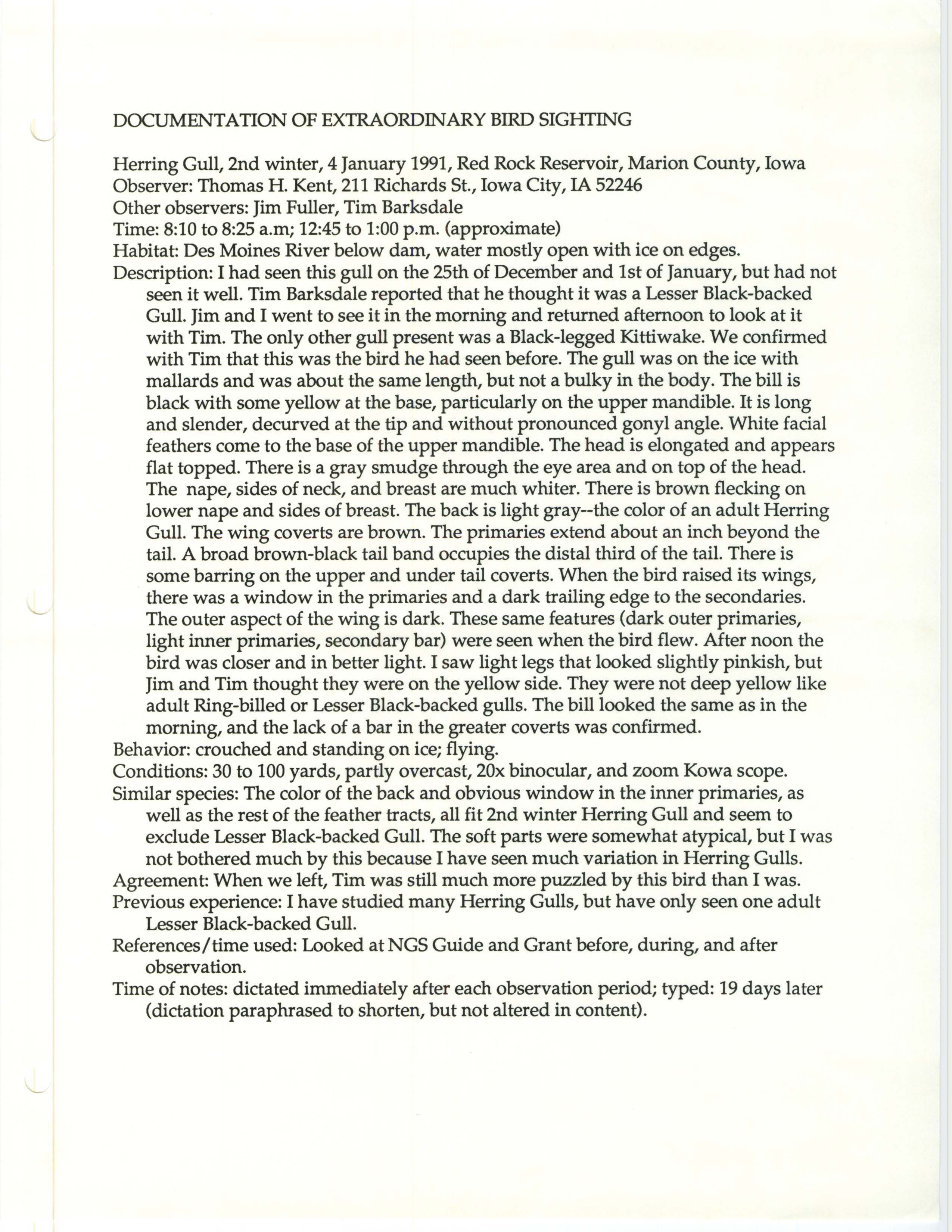 Rare bird documentation form for Herring Gull at Red Rock Reservoir, 1991