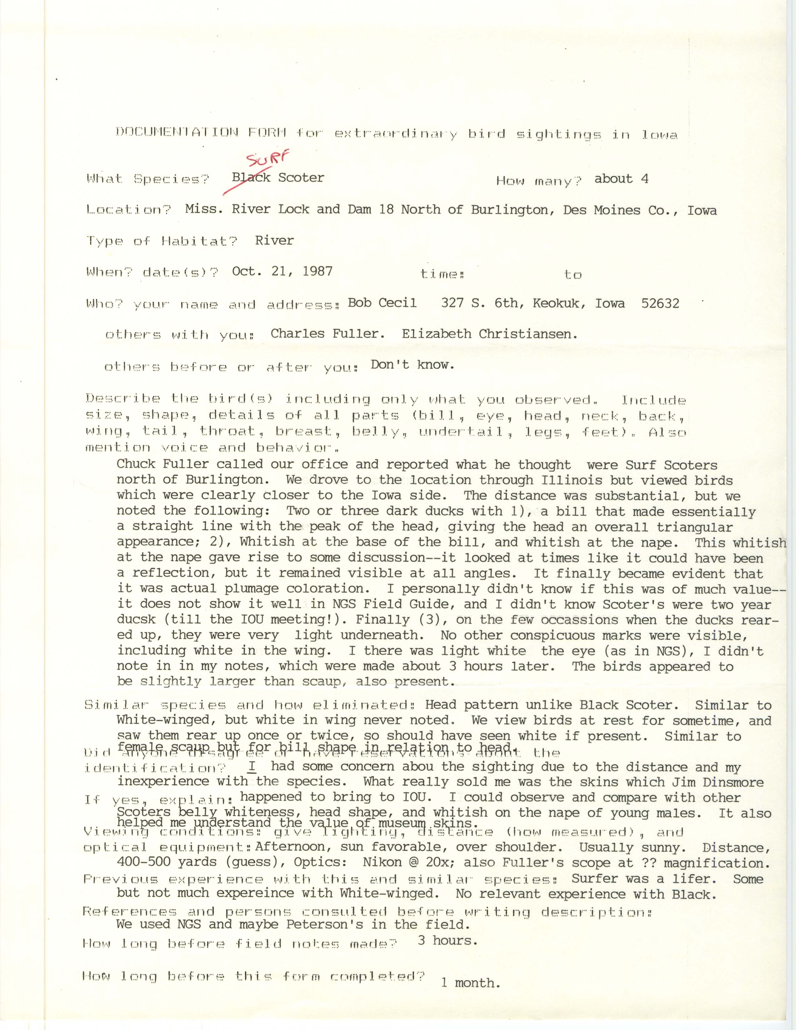 Rare bird documentation form for Surf Scoter at Lock and Dam 18, 1987