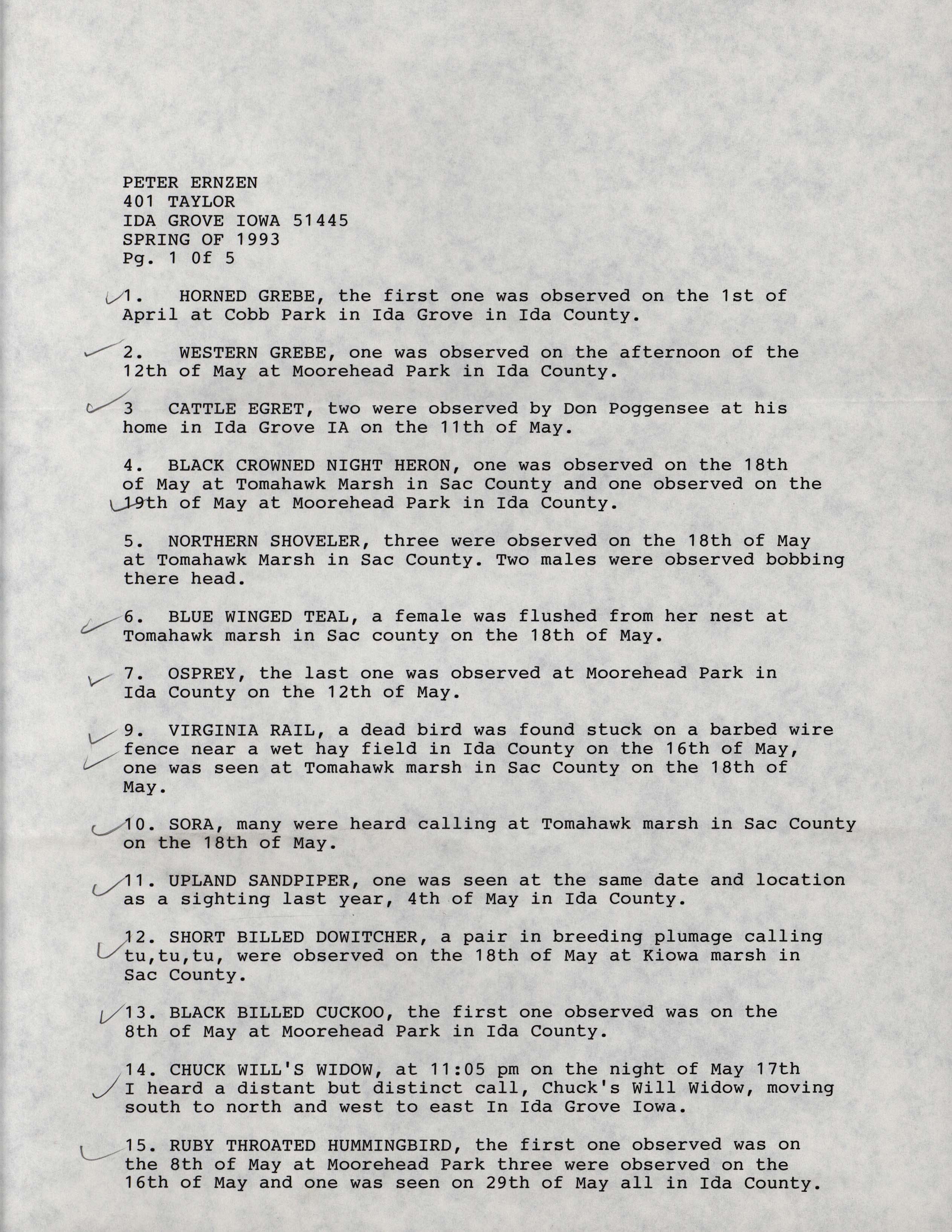 Annotated bird sighting list for Spring 1993 compiled by Peter Ernzen