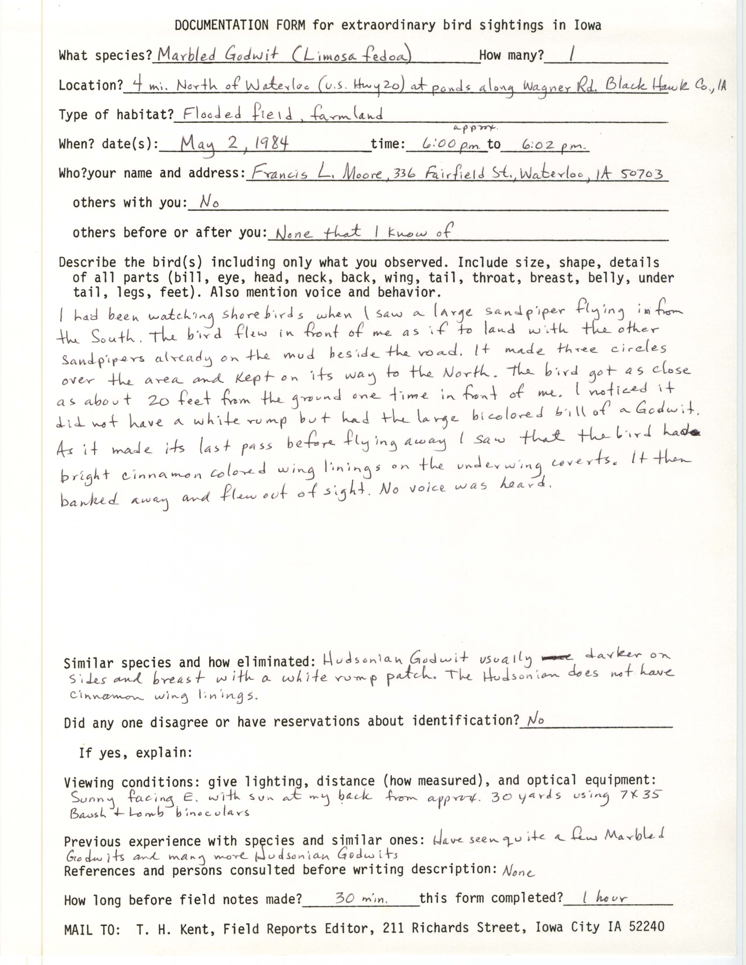 Rare bird documentation form for Marbled Godwit north of Waterloo, 1984
