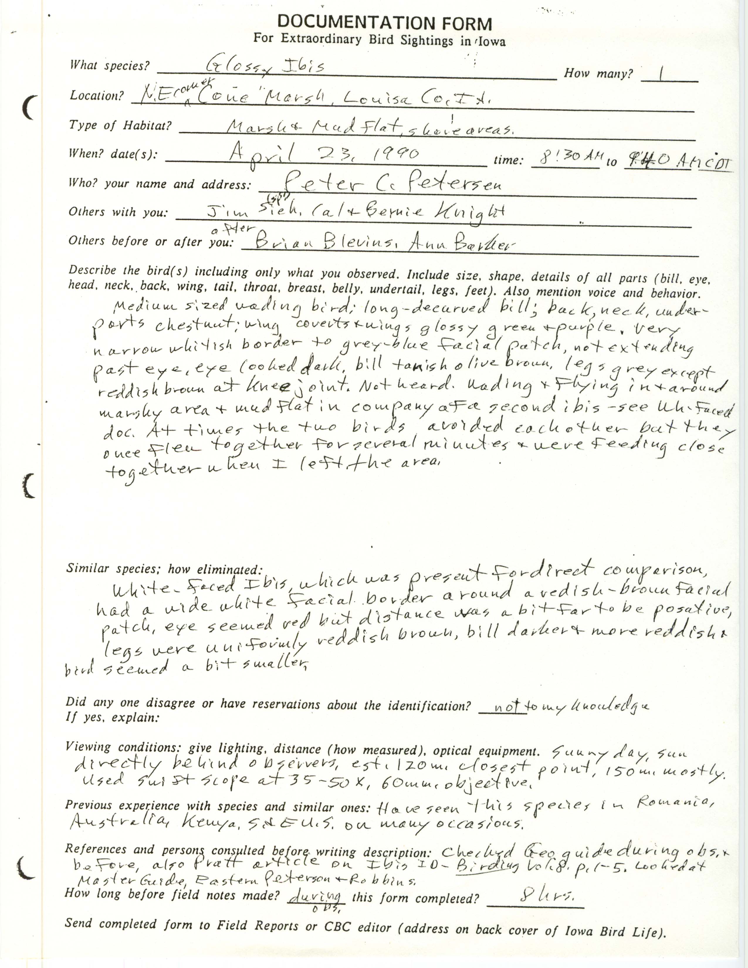 Rare bird documentation form for Glossy Ibis at Cone Marsh, 1990