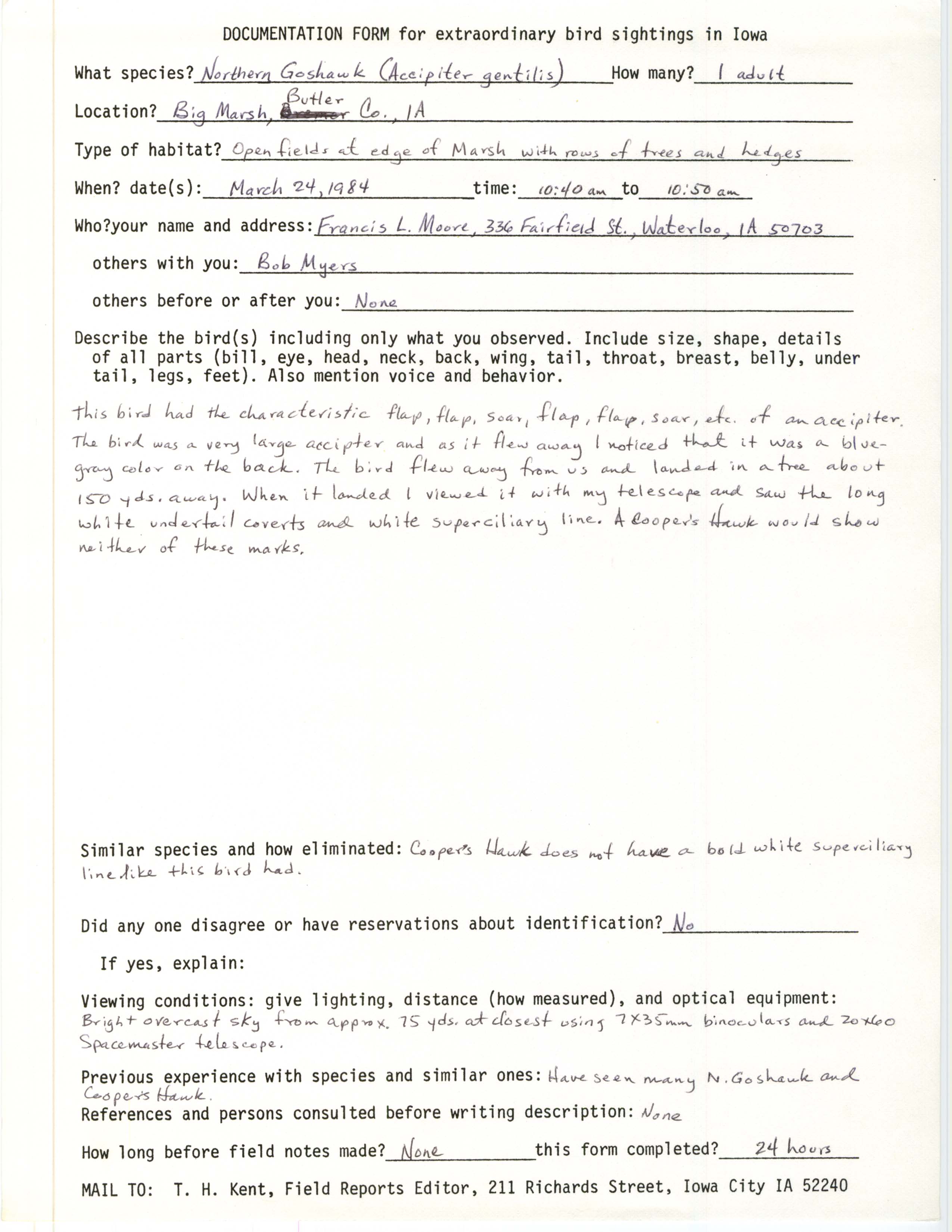 Rare bird documentation form for Northern Goshawk at Big Marsh, 1984