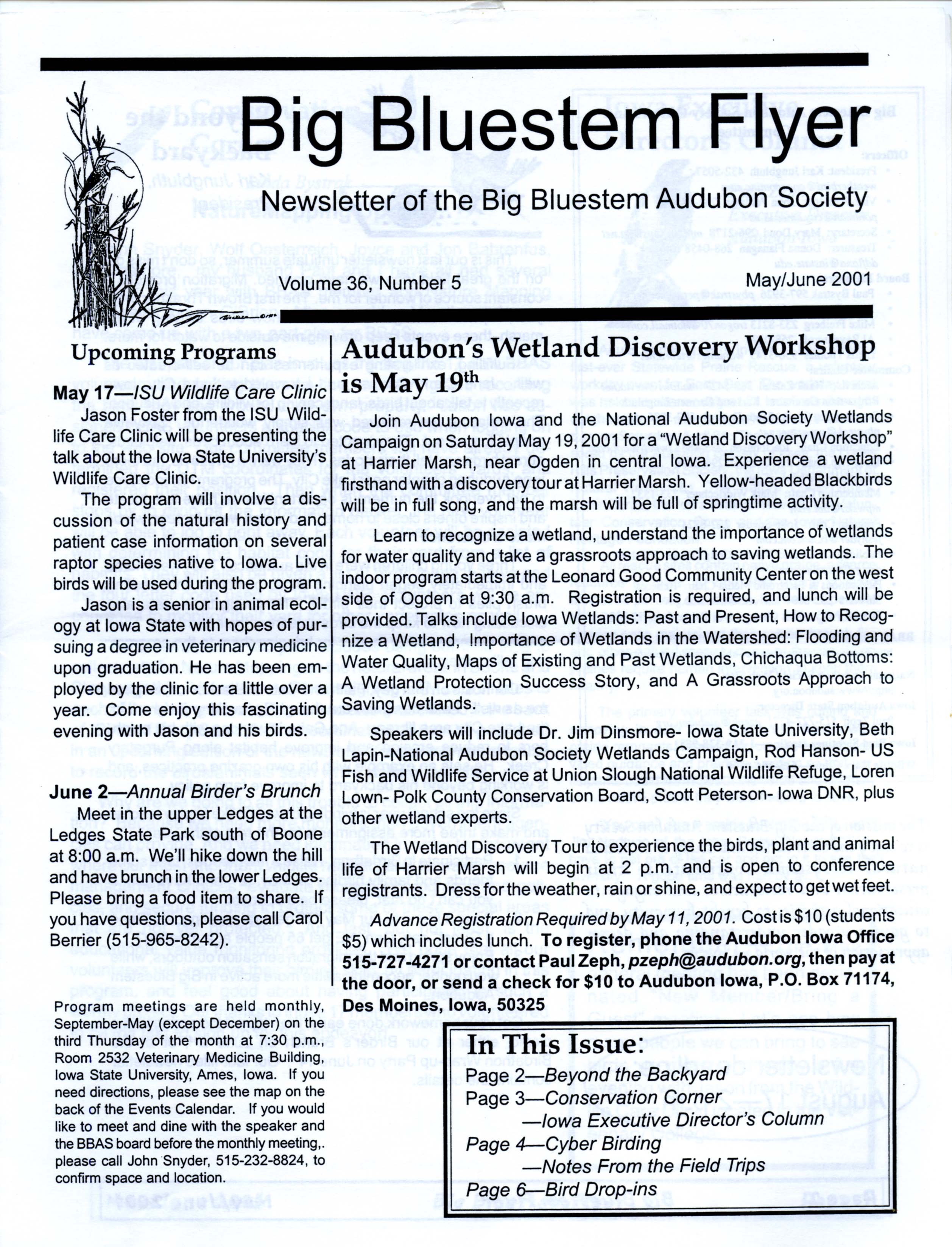 Big Bluestem Flyer, Volume 36, Number 5, May/June 2001