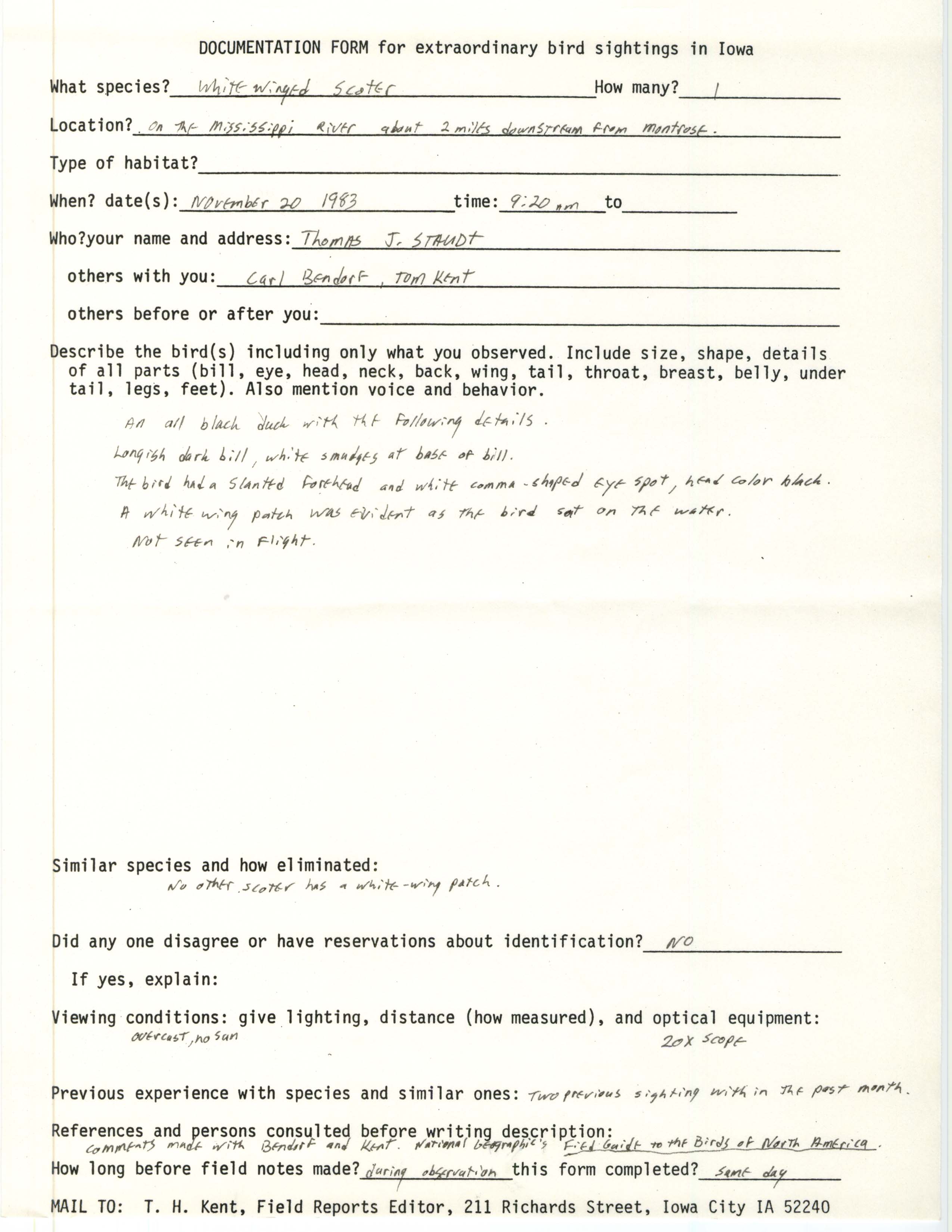 Rare bird documentation form for White-winged Scoter near Montrose in 1983
