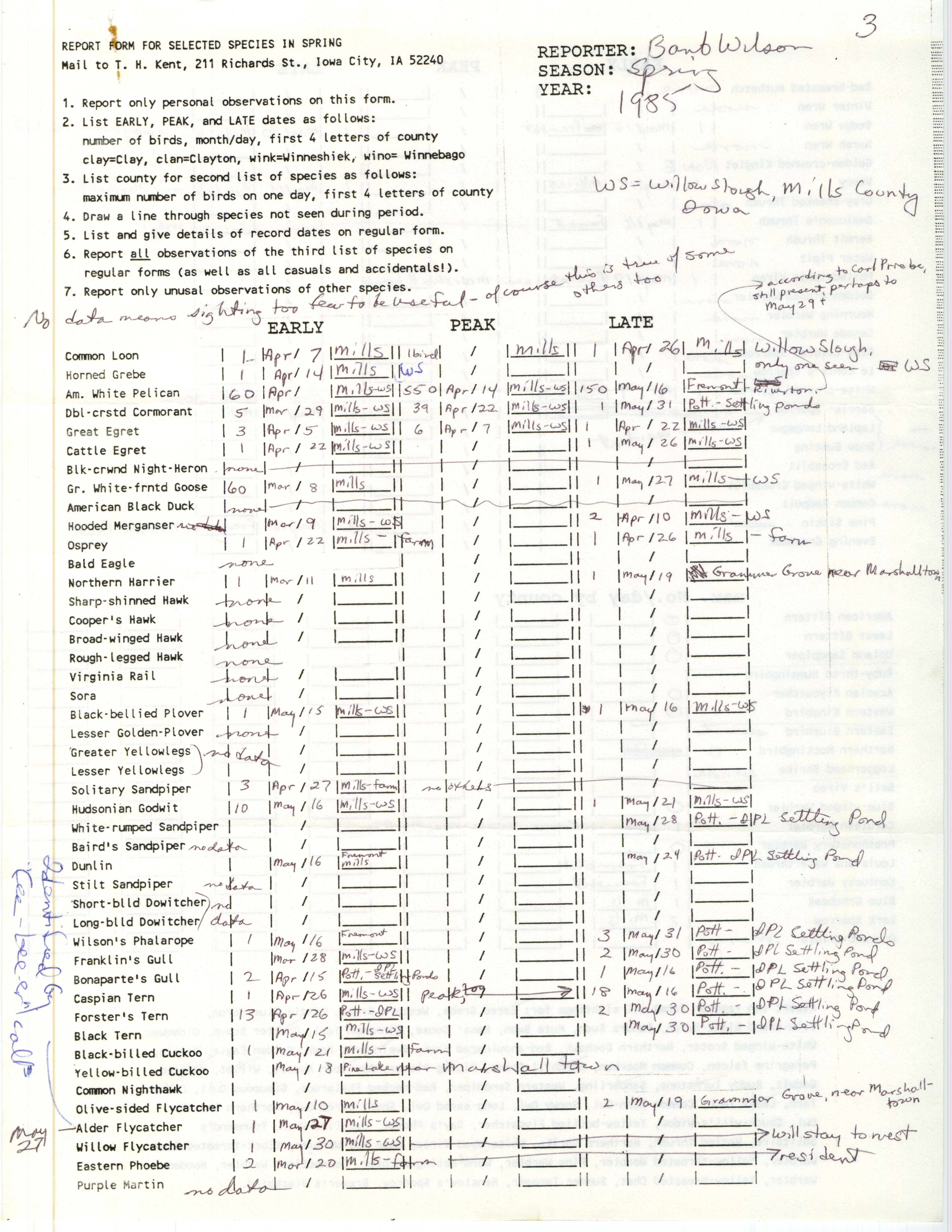 Report form for selected species in spring, contributed by Barbara L. Wilson, spring 1985