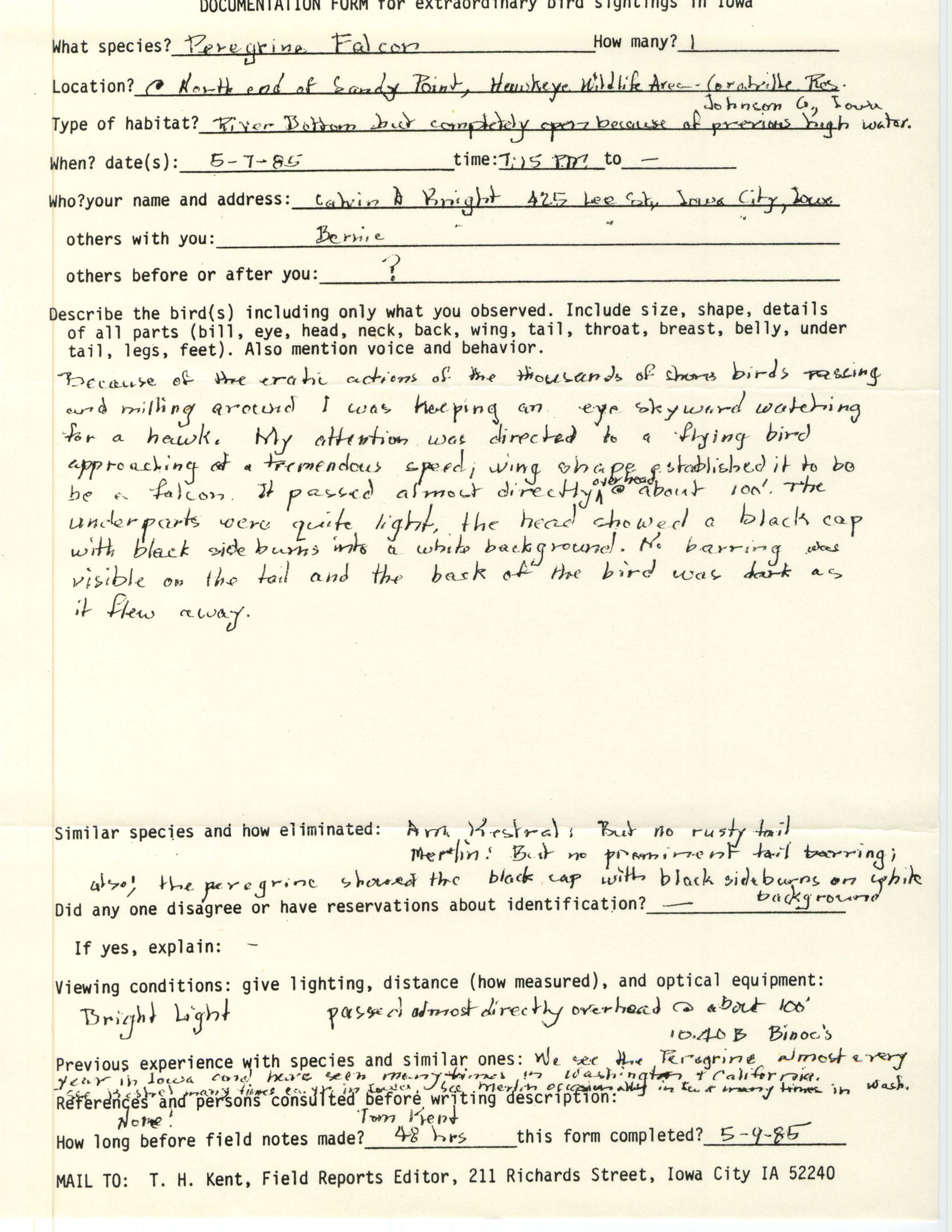 Rare bird documentation form for Peregrine Falcon at Sand Point in Hawkeye Wildlife Area, 1985