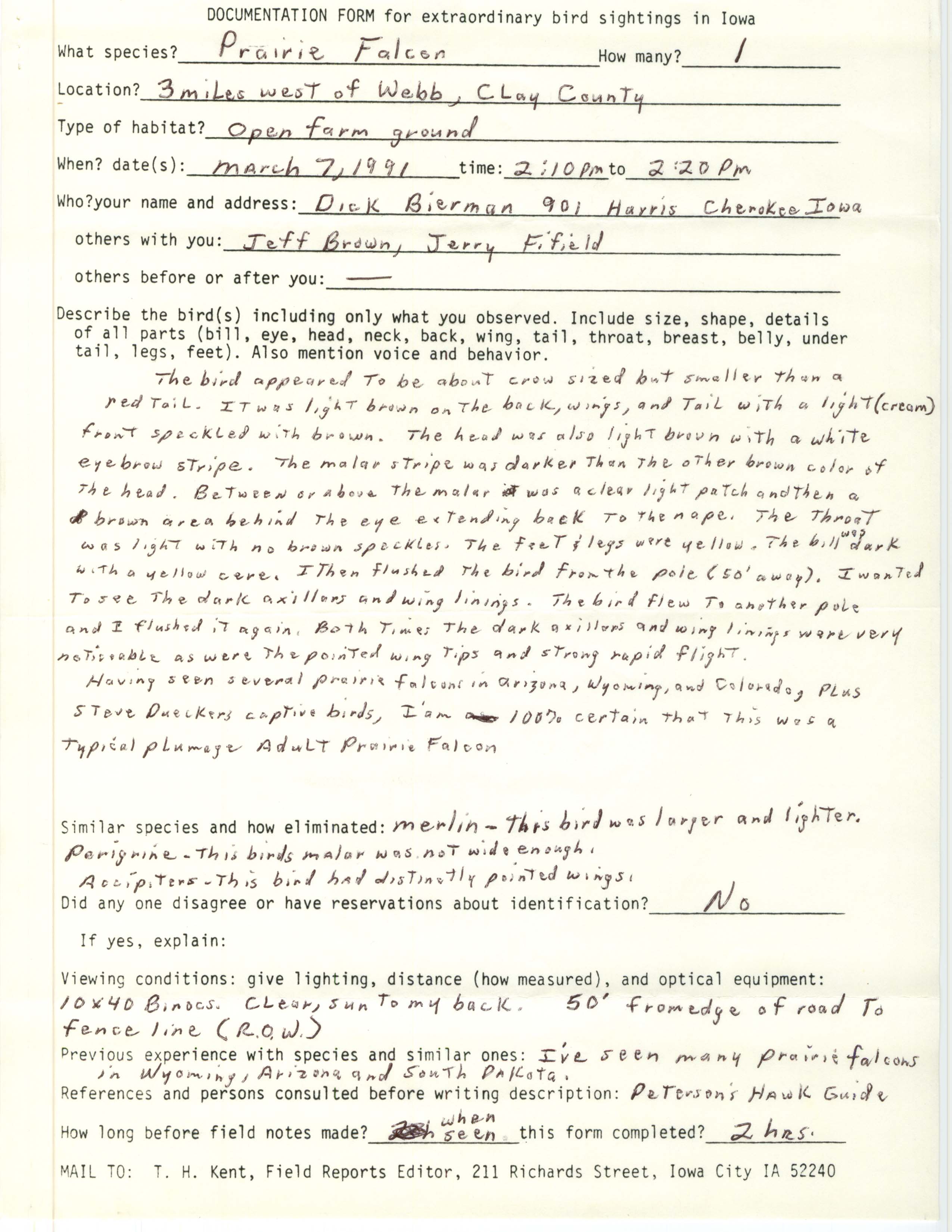 Rare bird documentation form for Prairie Falcon west of Webb, 1991