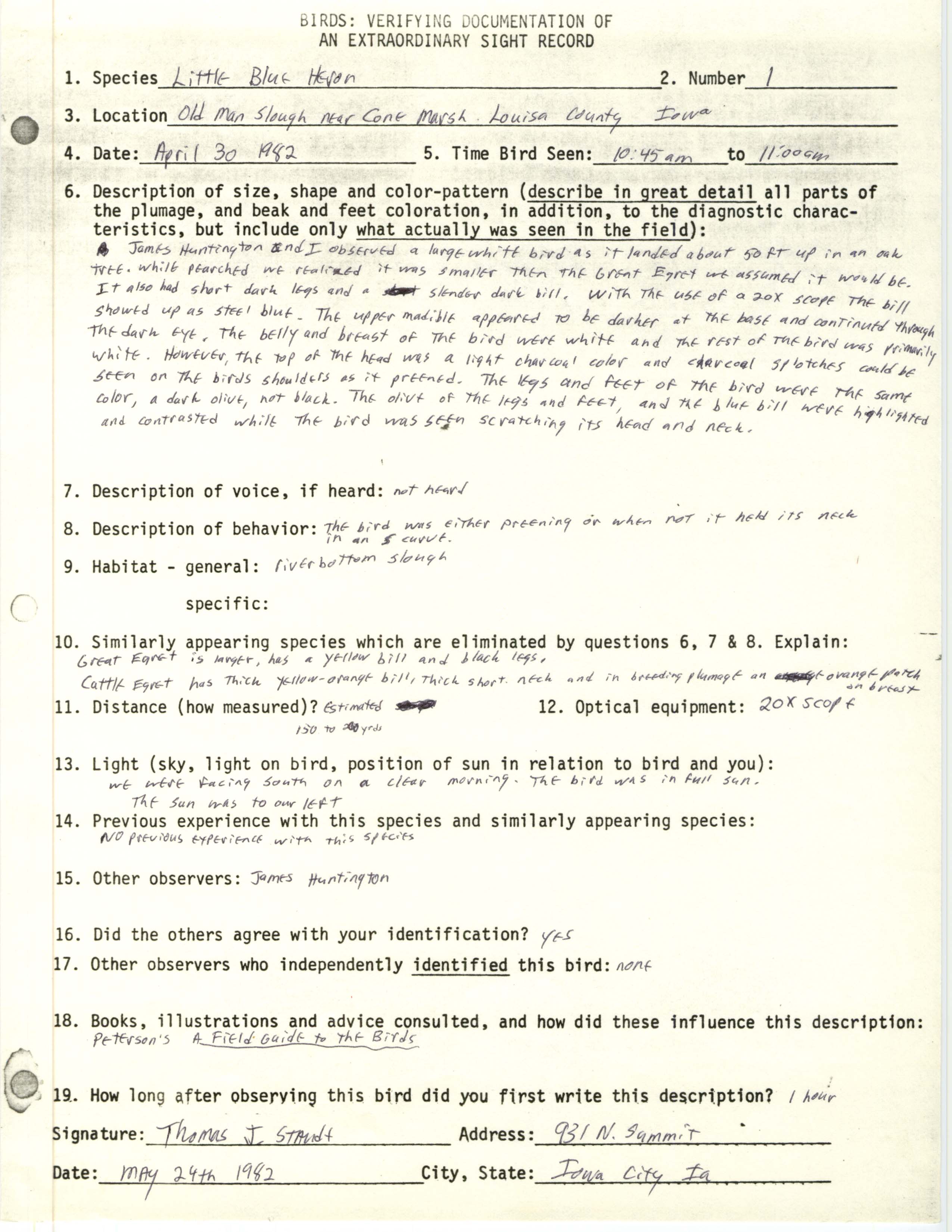 Rare bird documentation form for Little Blue Heron at Cone Marsh, 1982