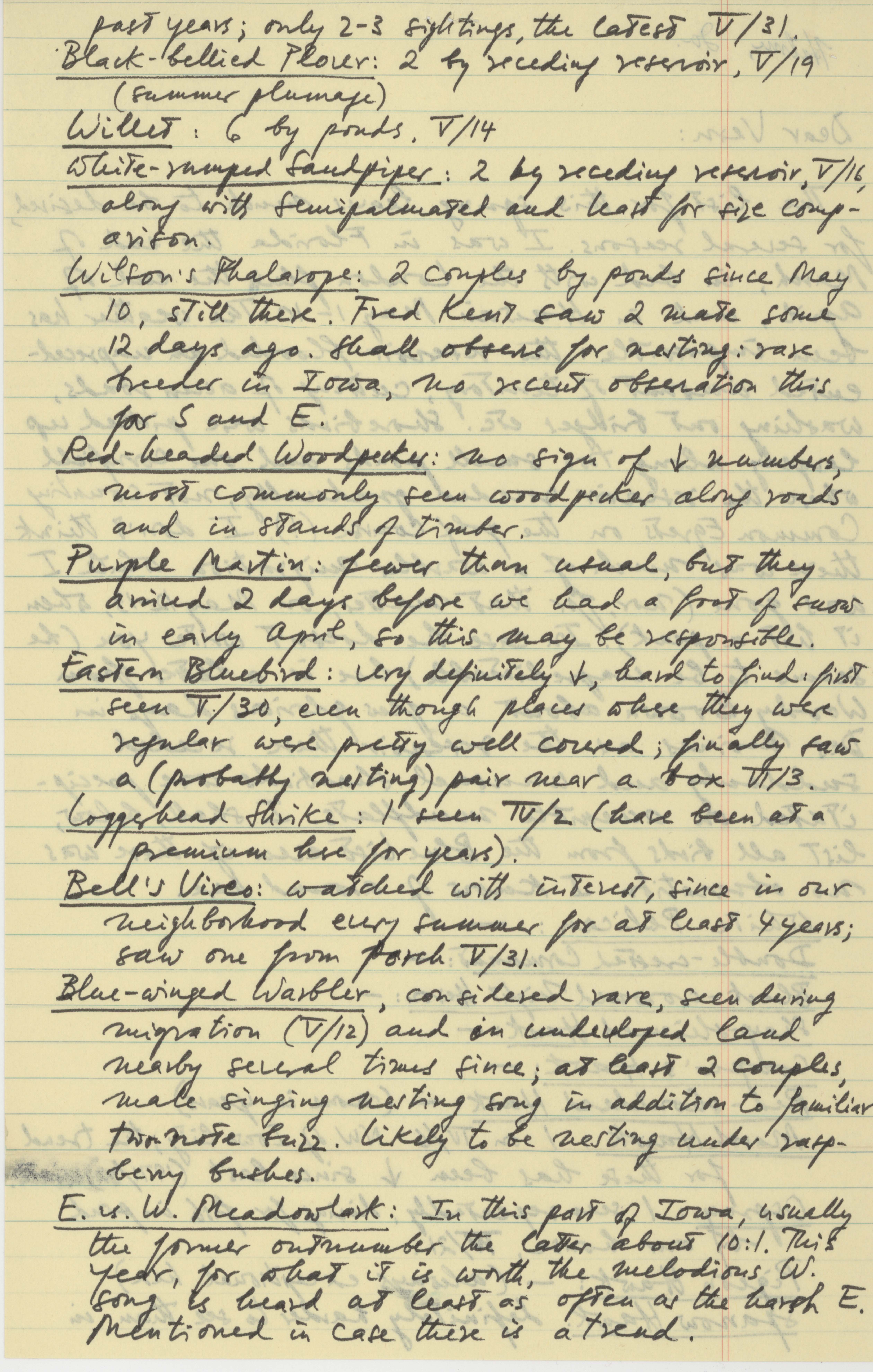 Nicholas S. Halmi letter to Vernon M. Kleen regarding birds sighted during May-July 1973
