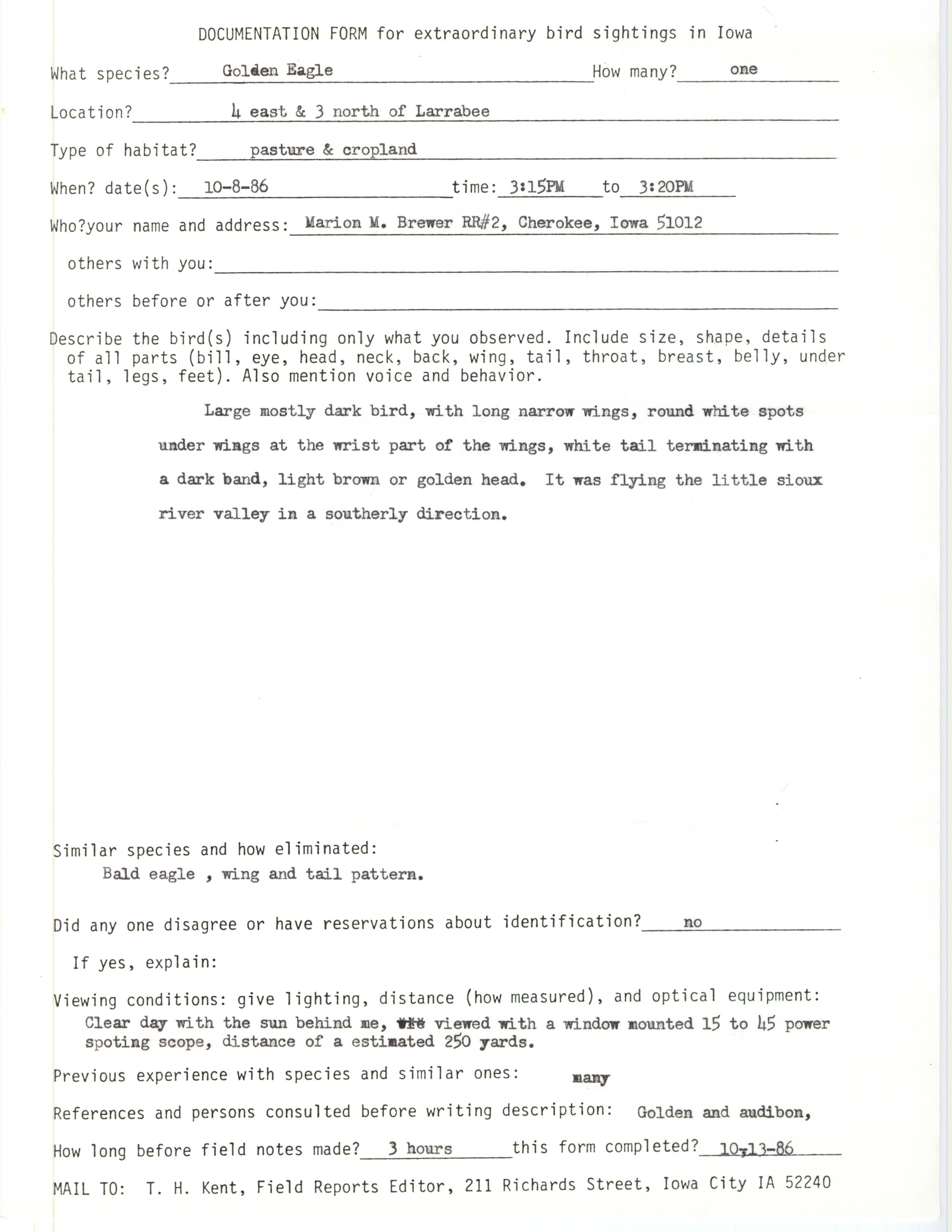 Rare bird documentation form for Golden Eagle near Larrabee, 1986