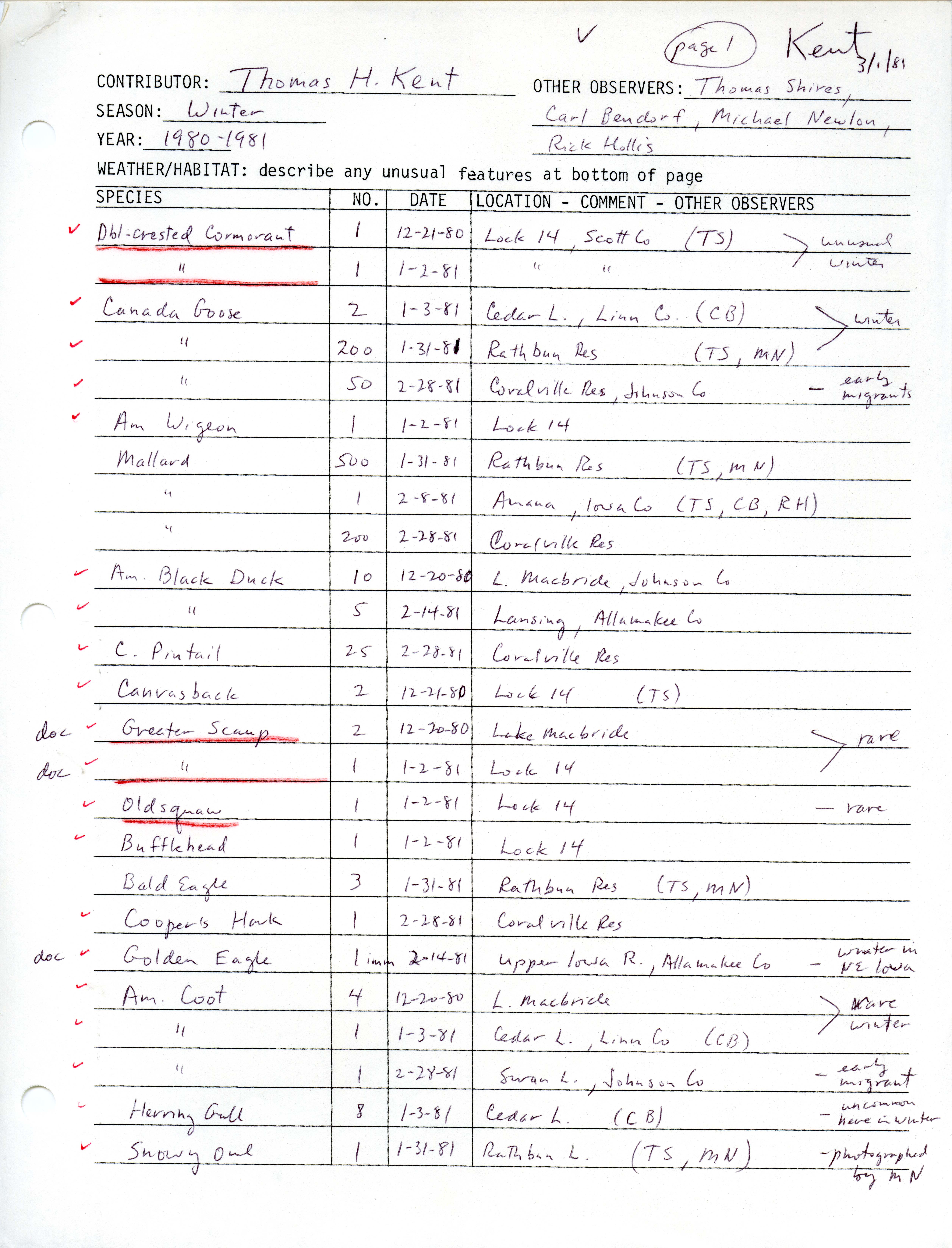 Annotated bird sighting list for winter 1980 and 1981 compiled by Thomas H. Kent