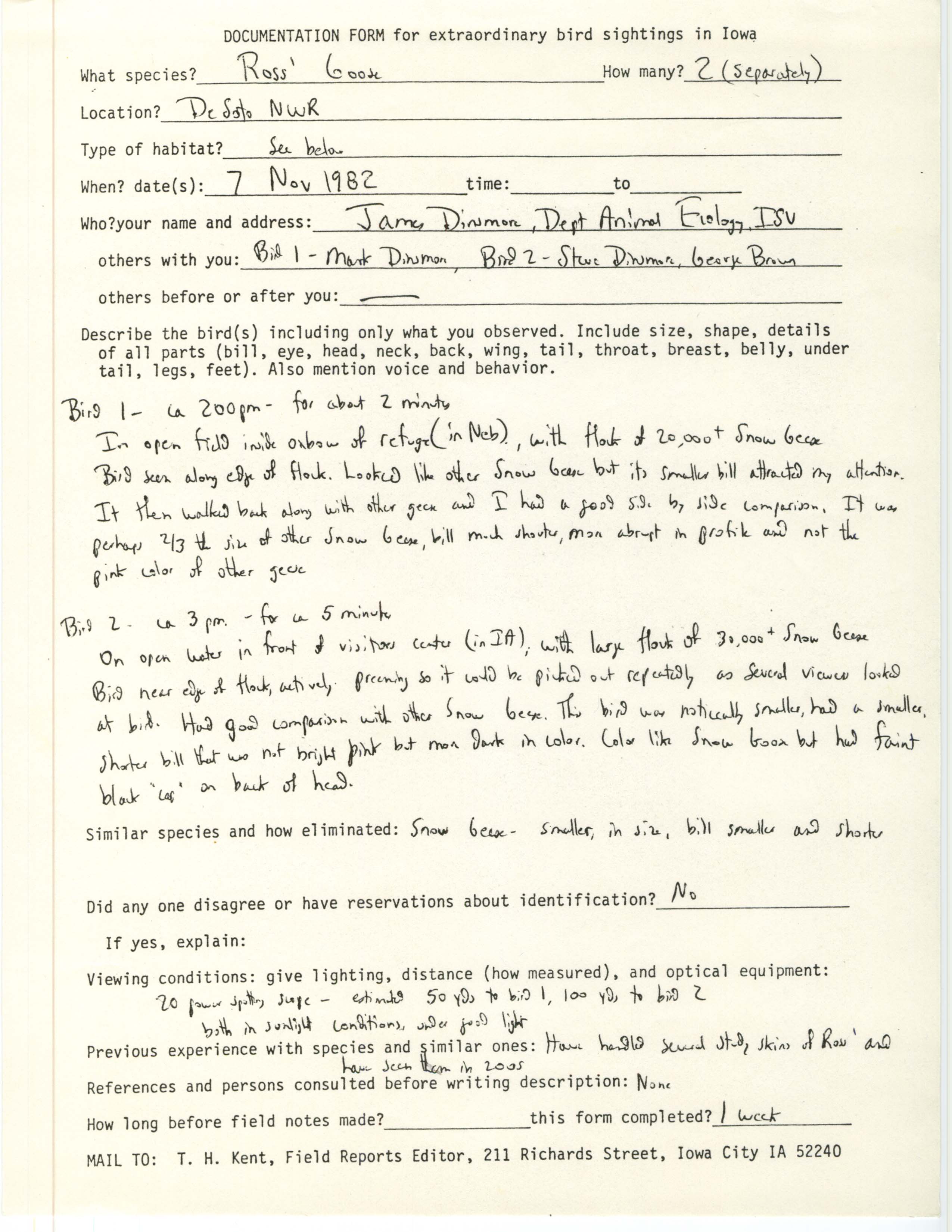Rare bird documentation form for Ross' Goose at DeSoto National Wildlife Refuge, 1982