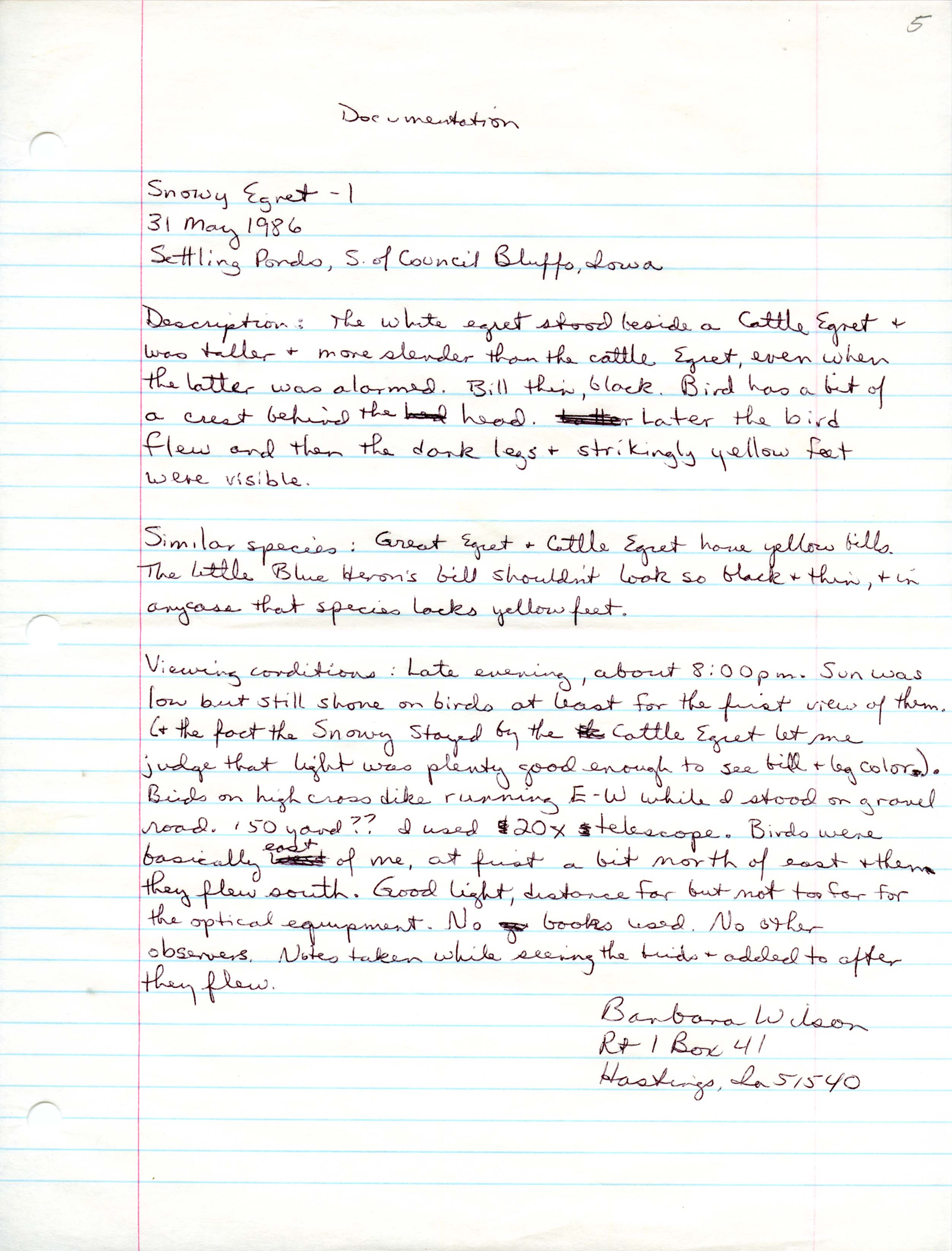 Rare bird documentation form for Snowy Egret at Settling Ponds south of Council Bluffs, 1986