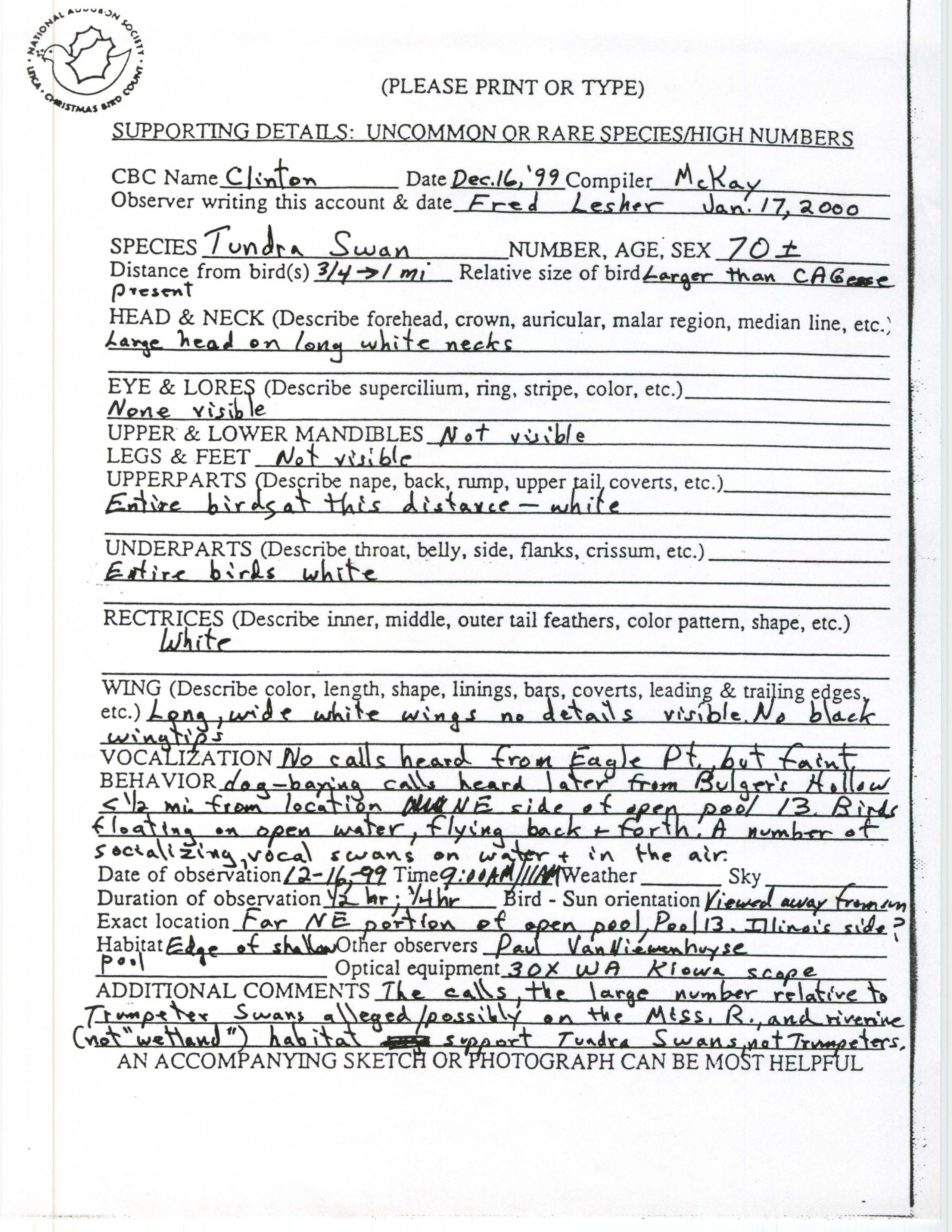 Rare bird documentation form for Tundra Swan at Pool 13, 1999