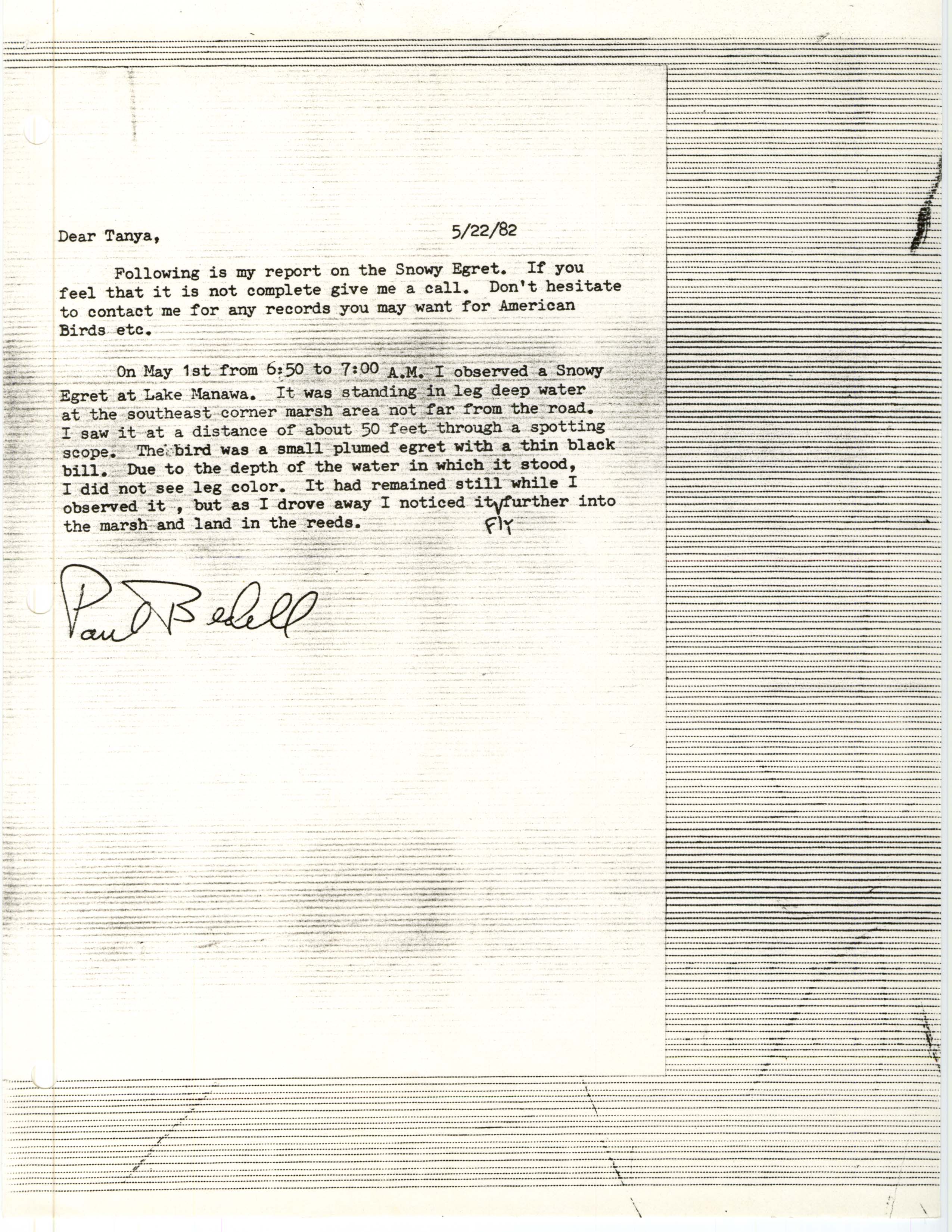 Paul Bedell letter to Tanya Bray regarding a Snowy Egret sighting, May 22, 1982
