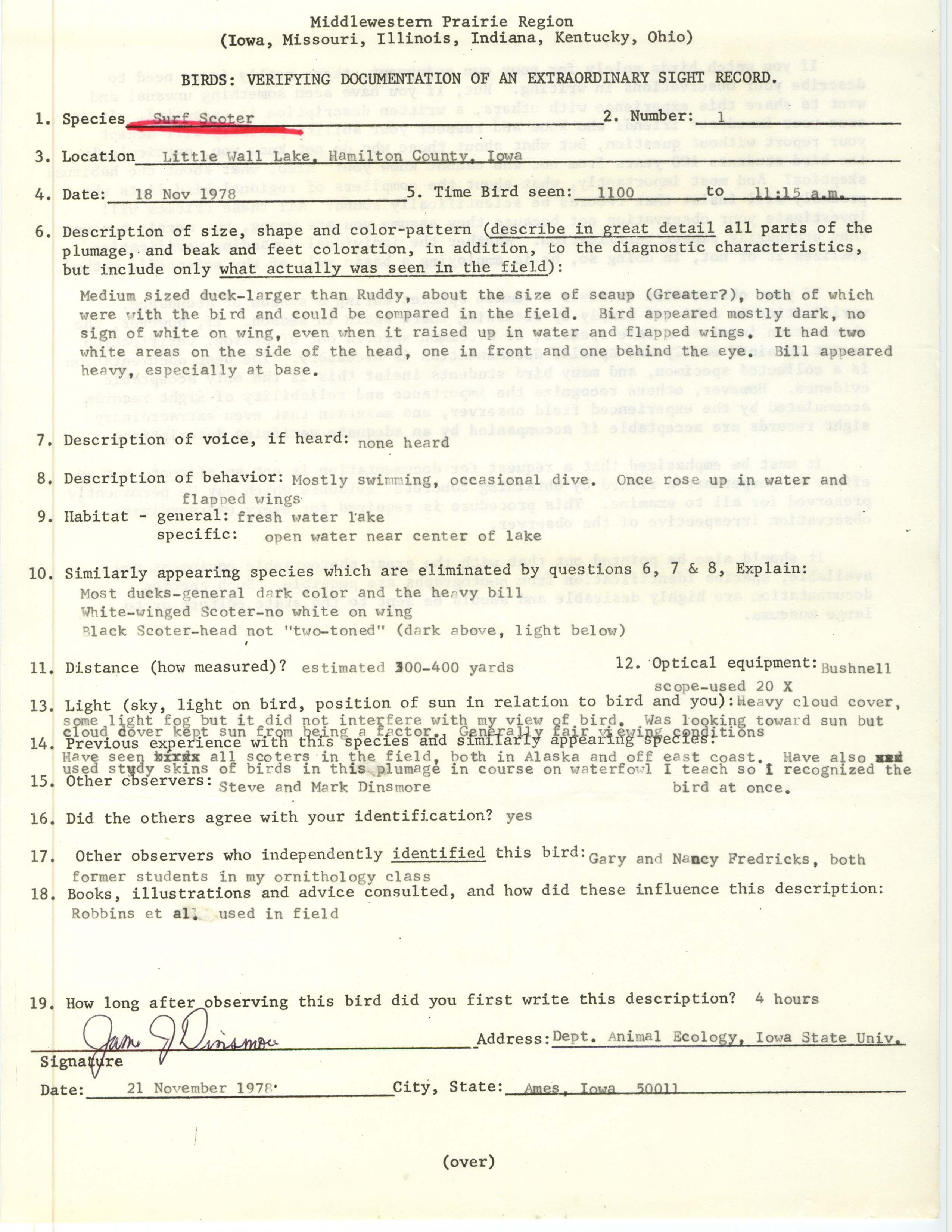 Rare bird documentation form for Surf Scoter at Little Wall Lake, 1978