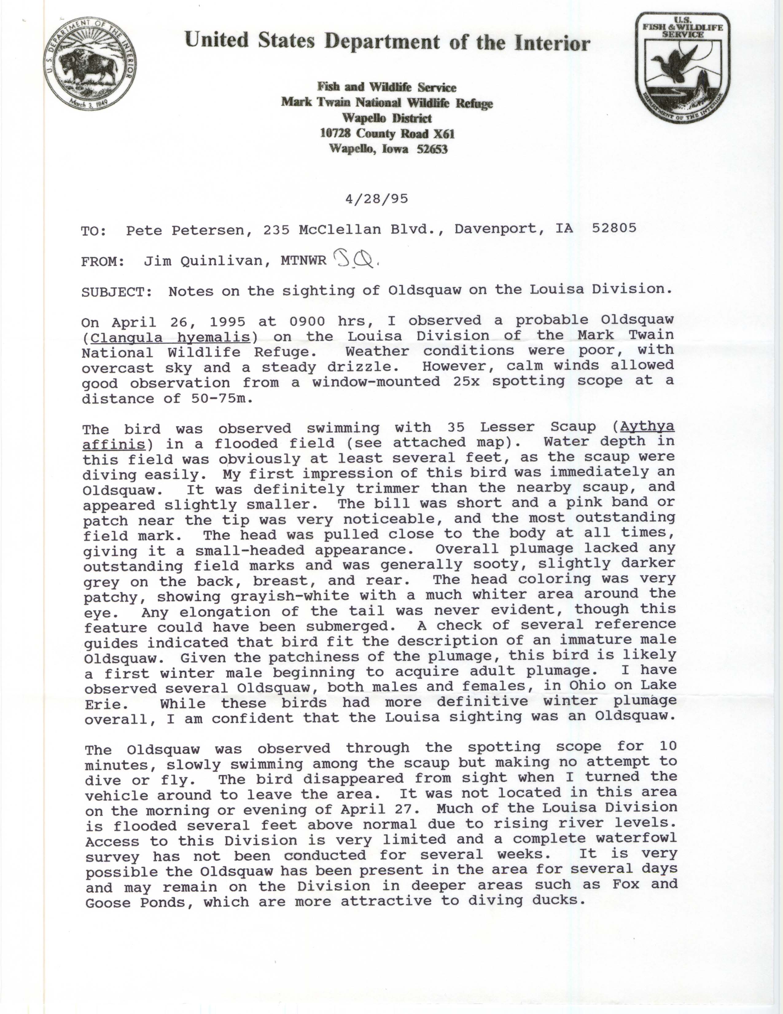 Rare bird documentation form for Long-tailed Duck at Mark Twain National Wildlife Refuge, 1995