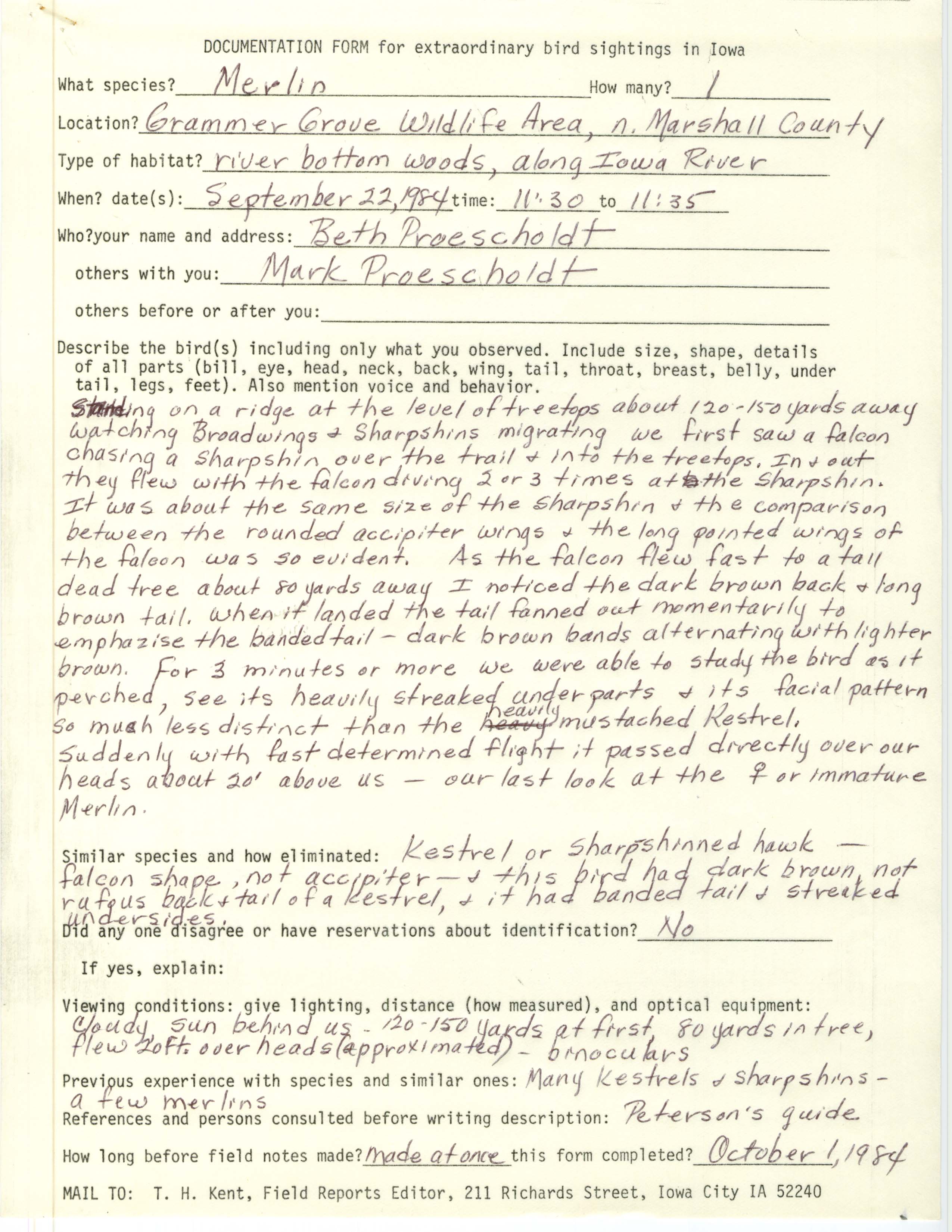 Rare bird documentation form for Merlin at Grammer Grove Wildlife Area, 1984