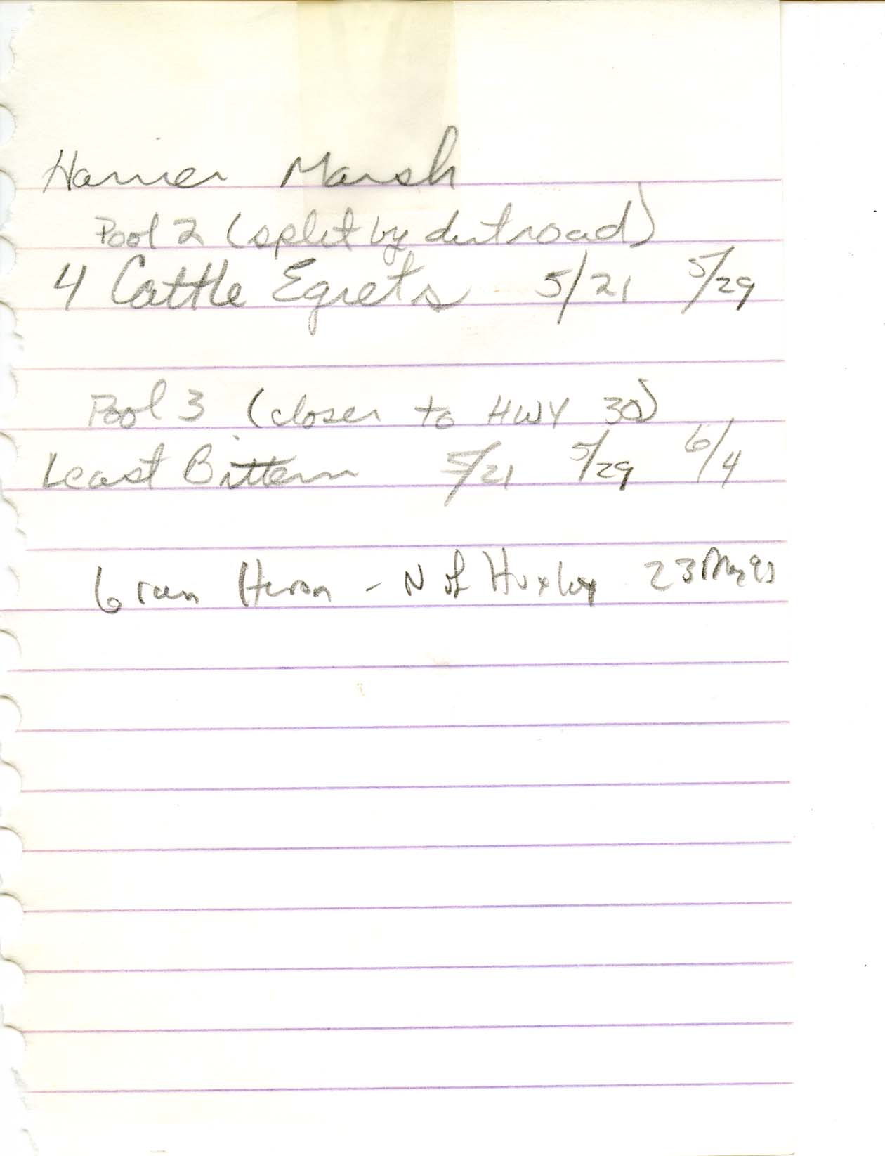 Field notes contributed by an unknown birdwatcher, spring 1997