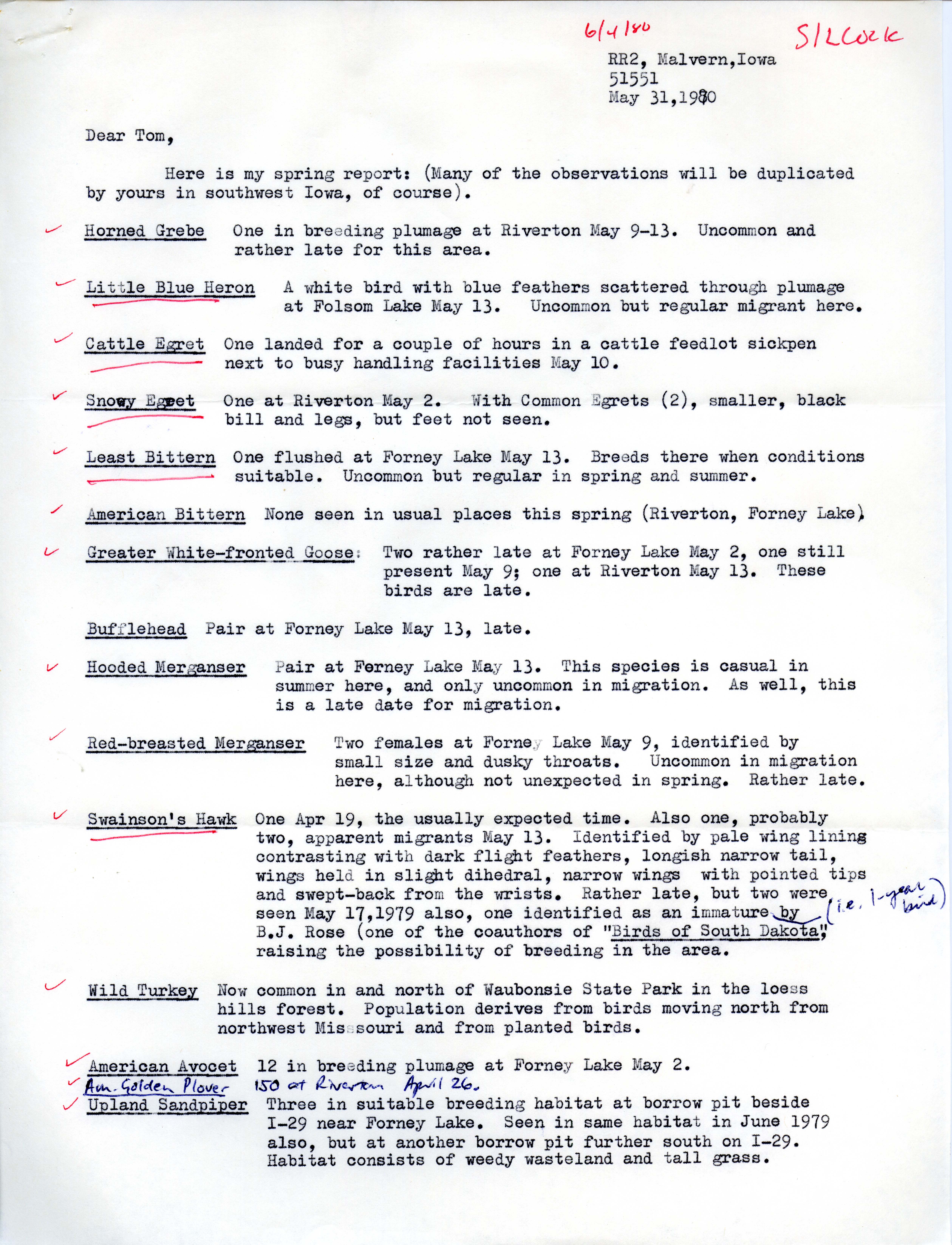 W. Ross Silcock letter to Thomas H. Kent regarding bird sightings, May 31, 1980