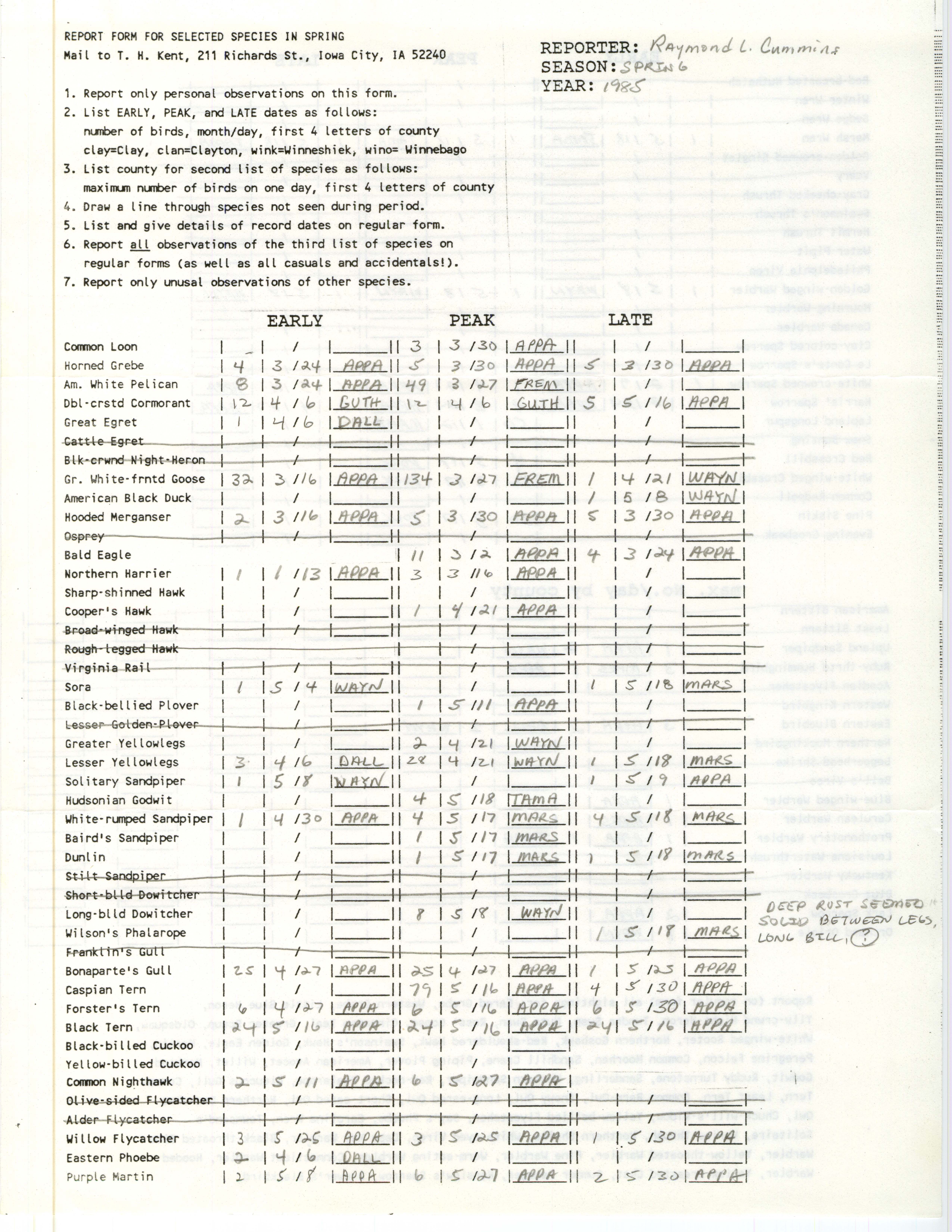 Report form for selected species in spring, contributed by Raymond L. Cummins, spring 1985