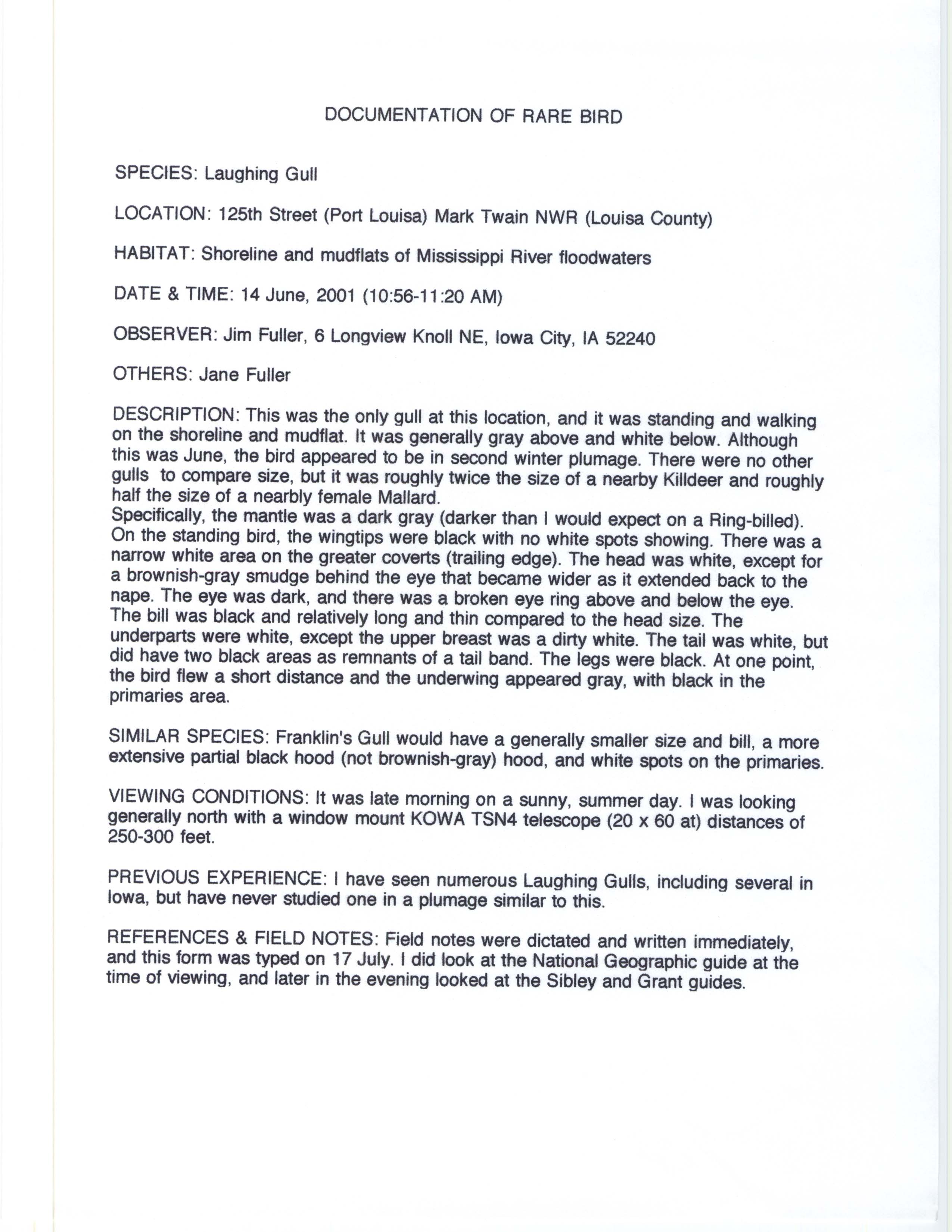 Documentation of rare bird, Laughing Gull, James L. Fuller, June 14, 2001