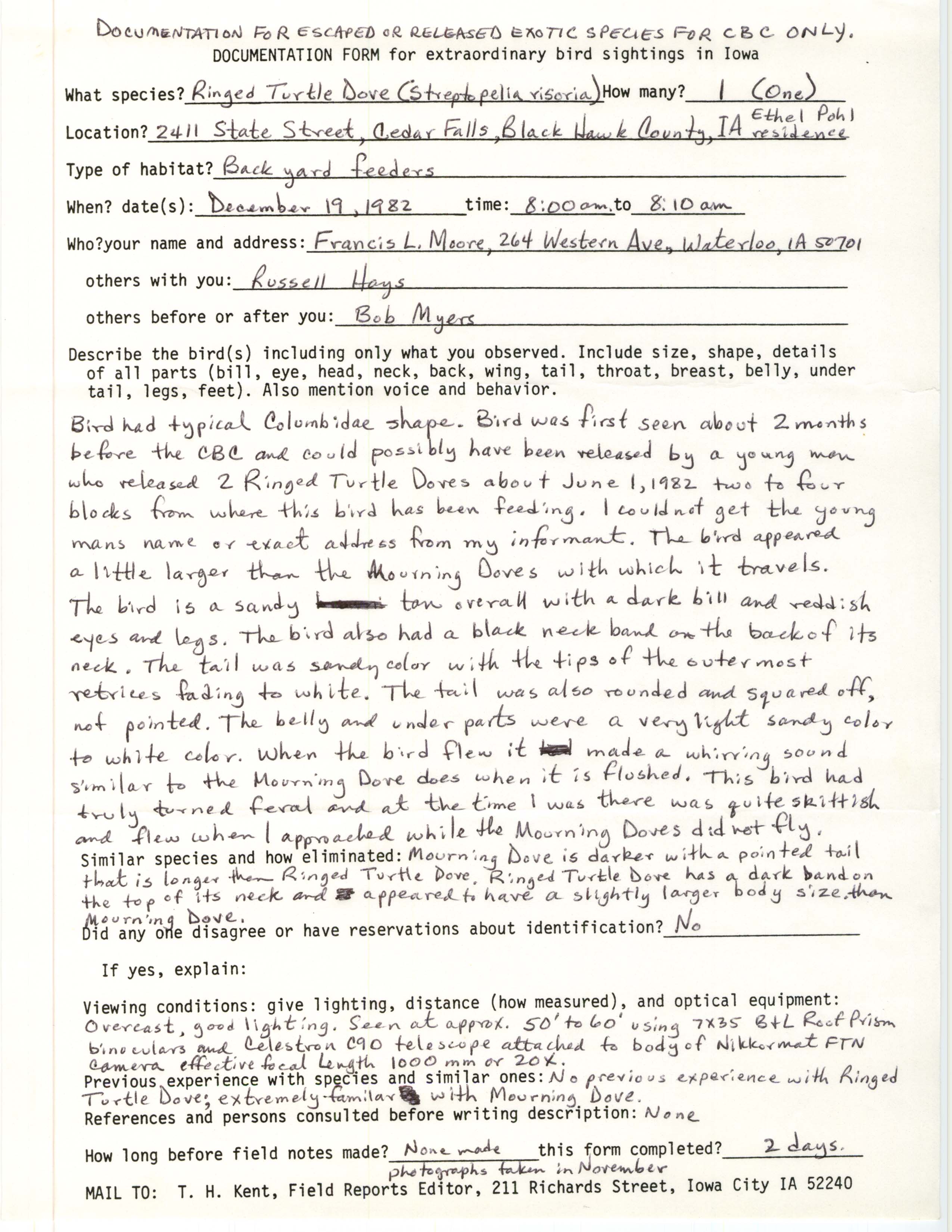 Rare bird documentation form for Ringed Turtle Dove at Cedar Falls, 1982