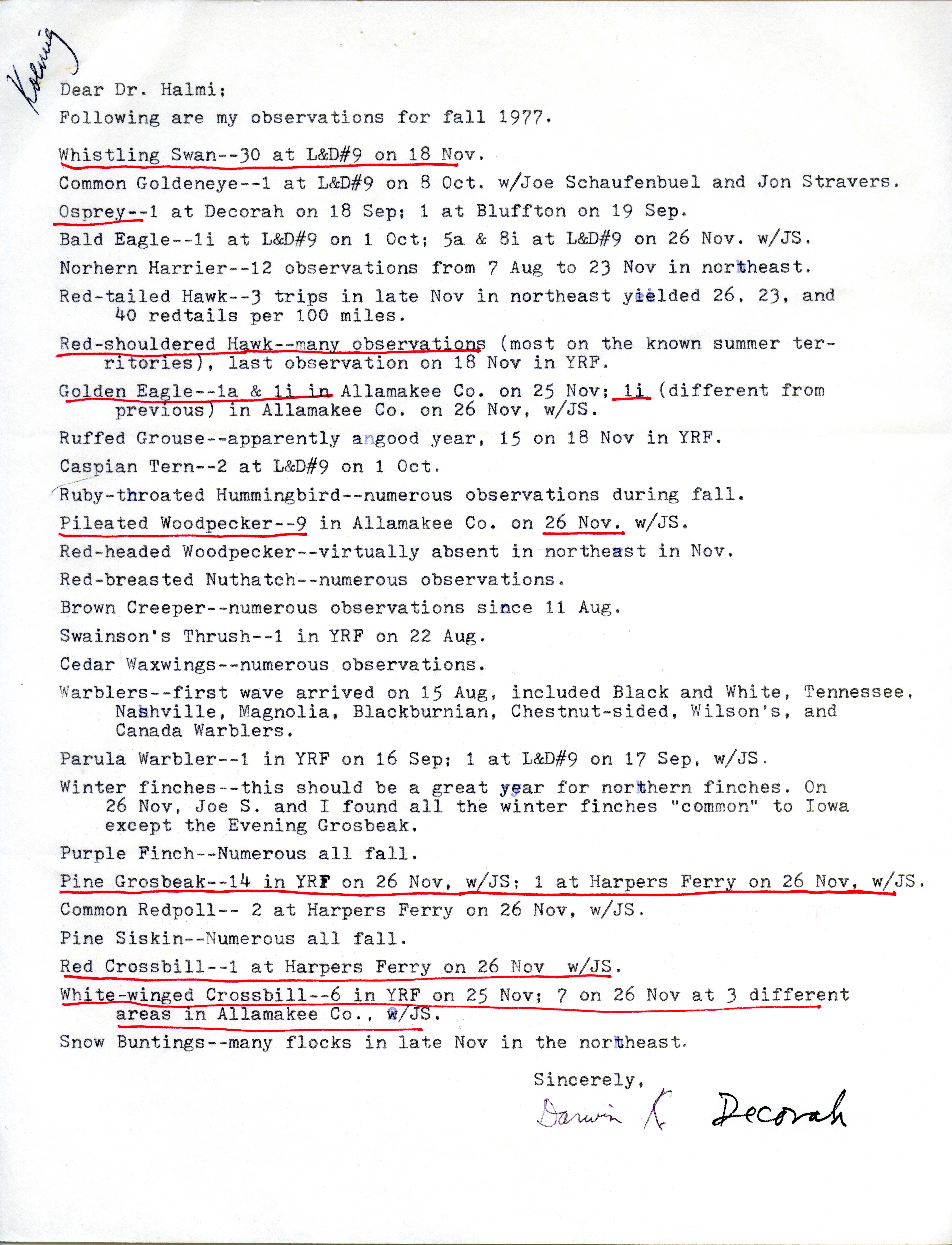 Darwin Koenig letter to Nicholas S. Halmi regarding bird sightings, fall 1977