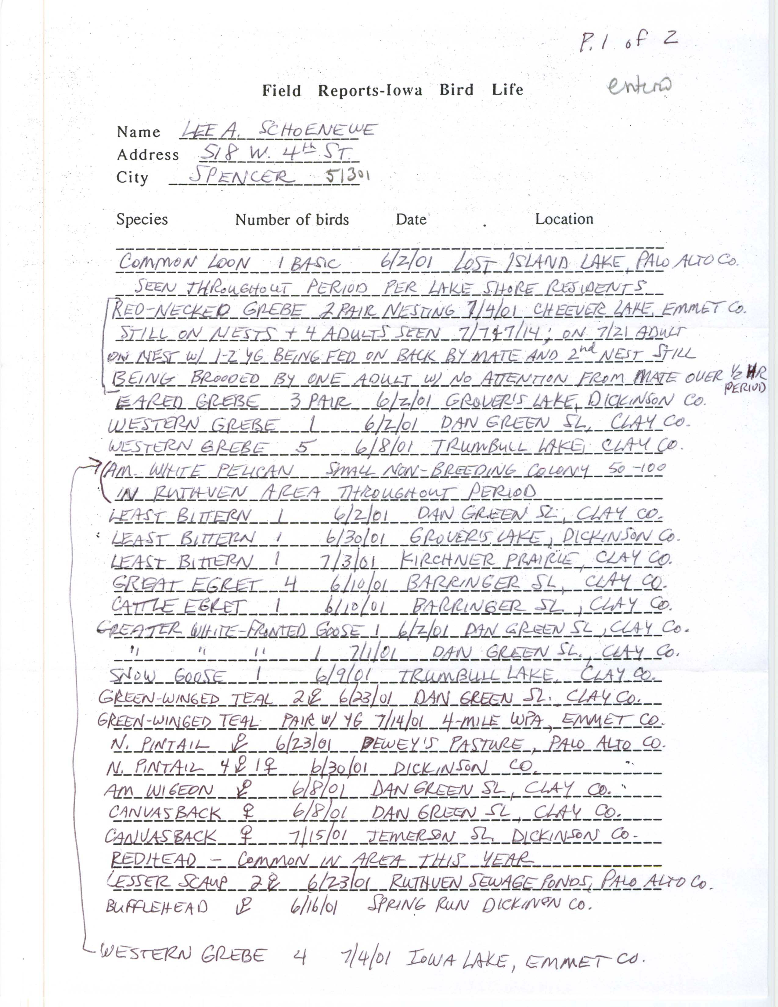 Field notes contributed by Lee A. Schoenewe, summer 2001