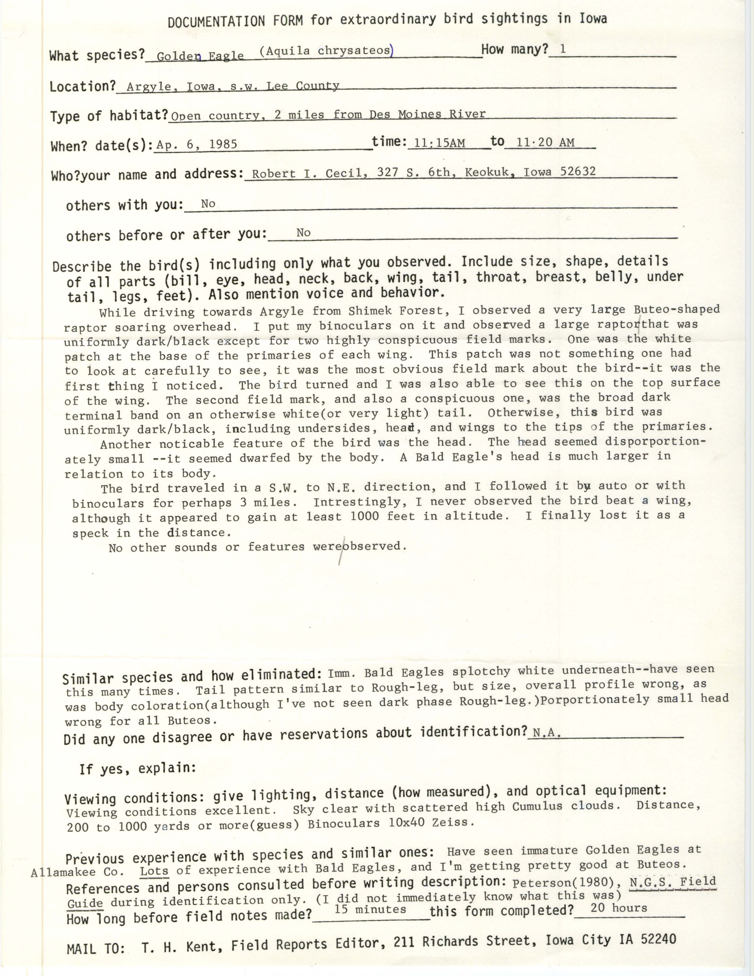 Rare bird documentation form for Golden Eagle at Argyle, 1985