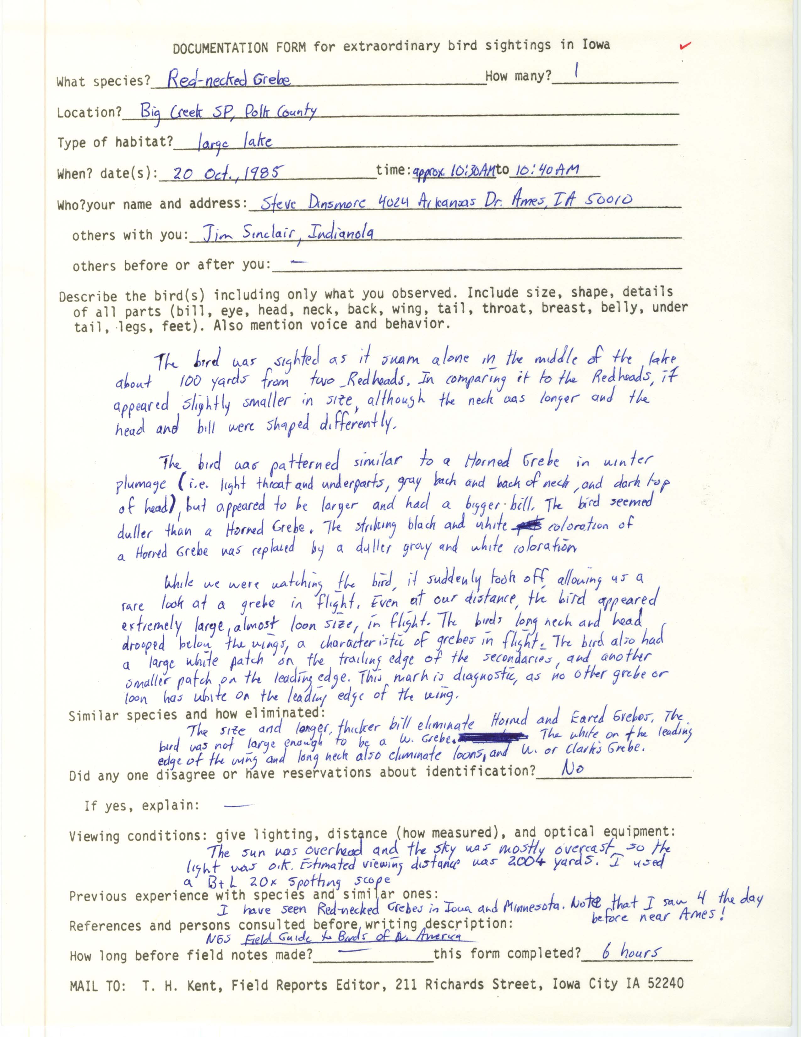 Rare bird documentation form for Red-necked Grebe at Big Creek State Park, 1985