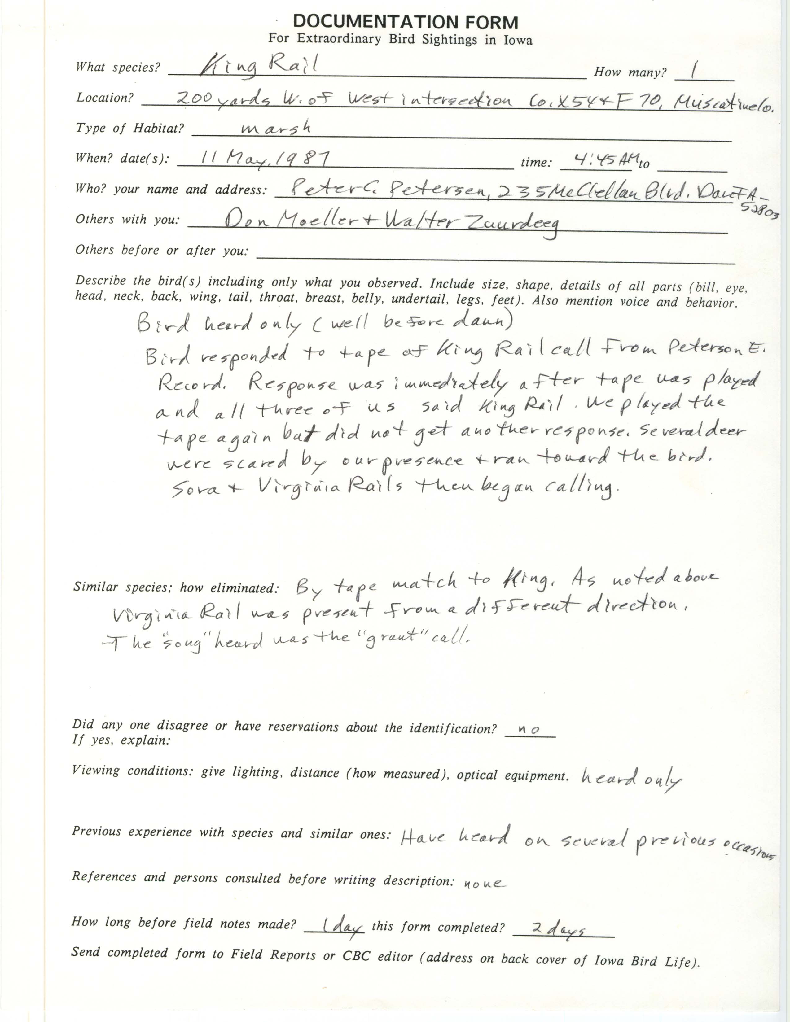 Rare bird documentation form for King Rail at Muscatine County, 1987