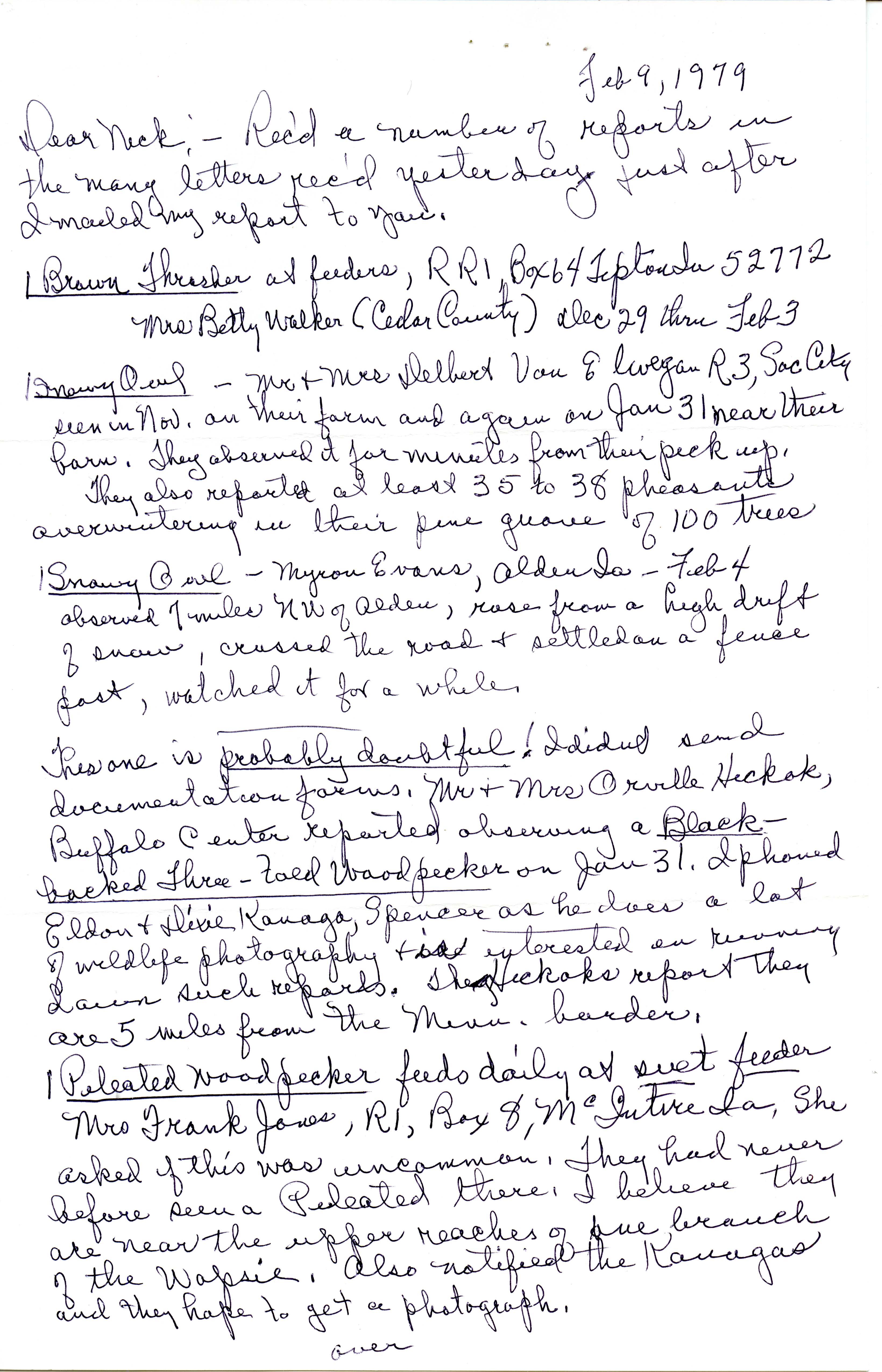 Gladys Black letter to Nicholas S. Halmi regarding winter bird sightings, February 9, 1979