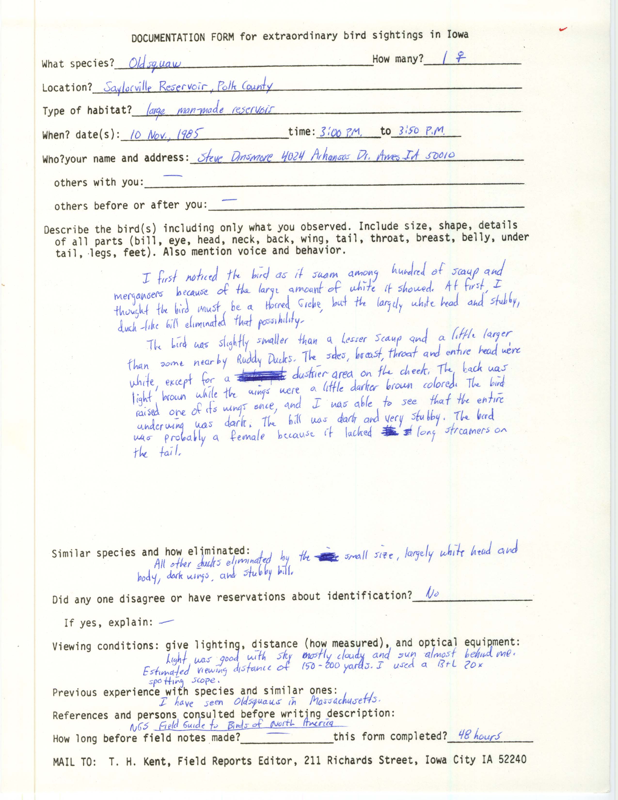 Rare bird documentation form for Long-tailed Duck at Saylorville Reservoir, 1985