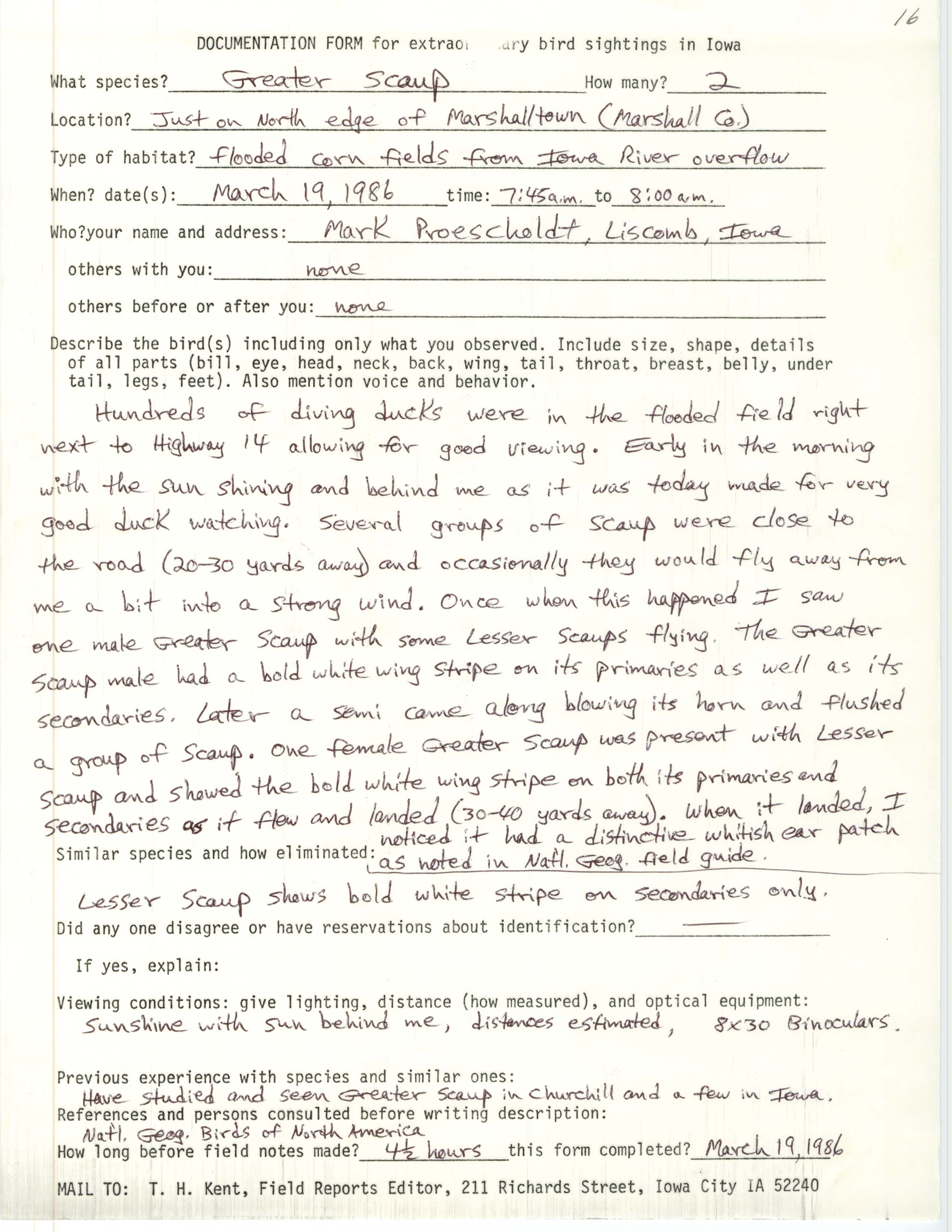 Rare bird documentation form for Greater Scaup at Marshalltown, 1986