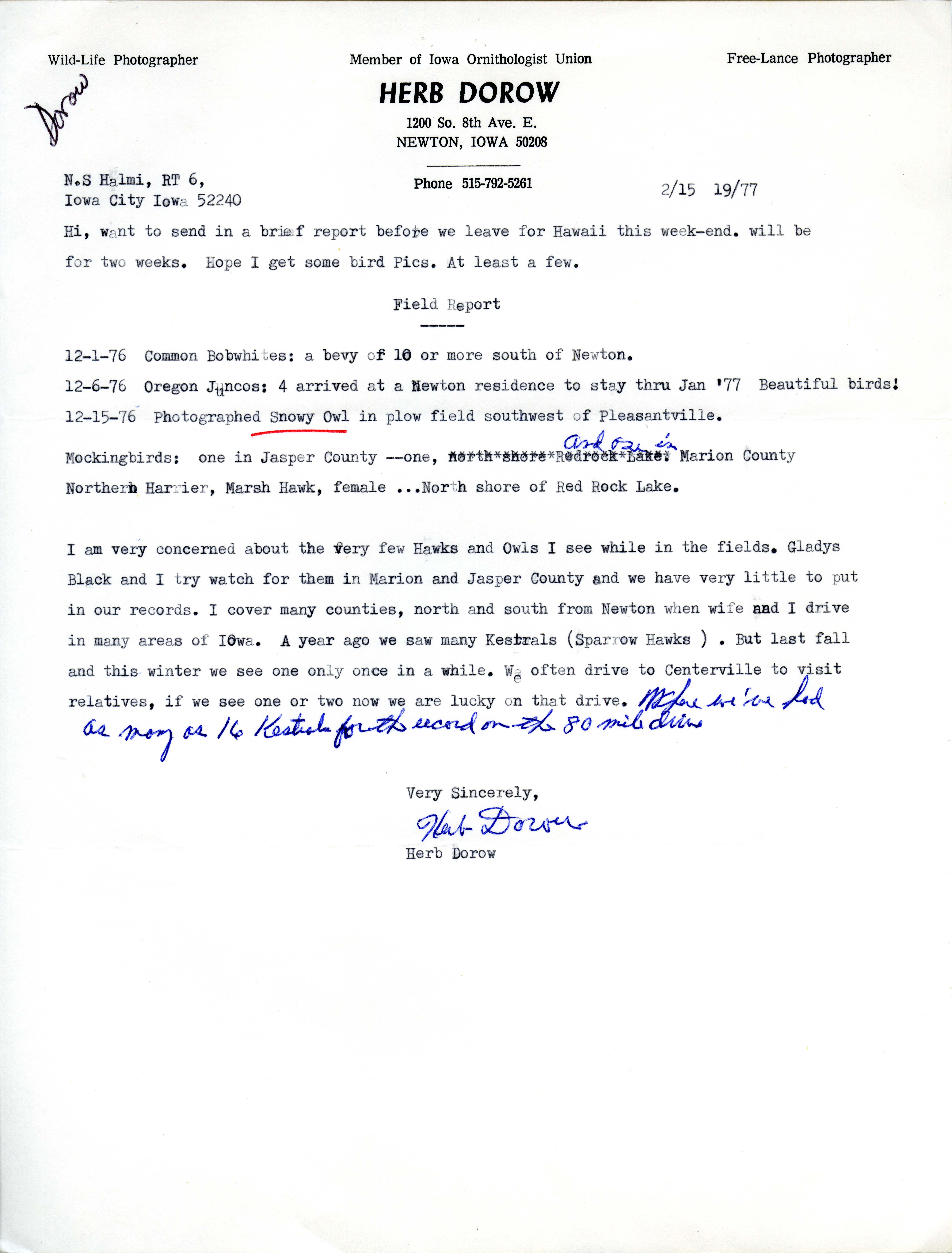 Herb Dorow letter to Nicholas S. Halmi regarding bird sightings, February 15, 1977