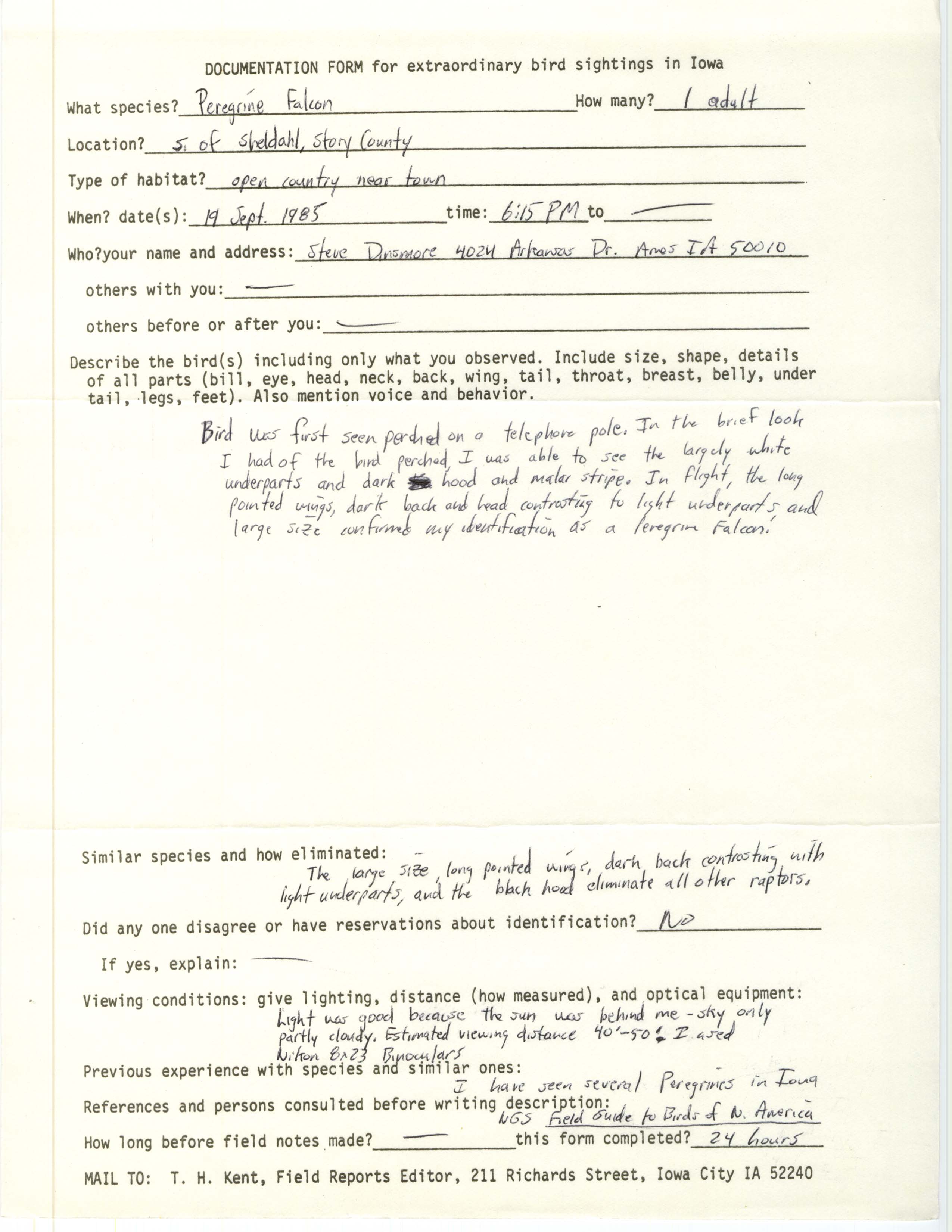 Rare bird documentation form for Peregrine Falcon south of Sheldahl, 1985