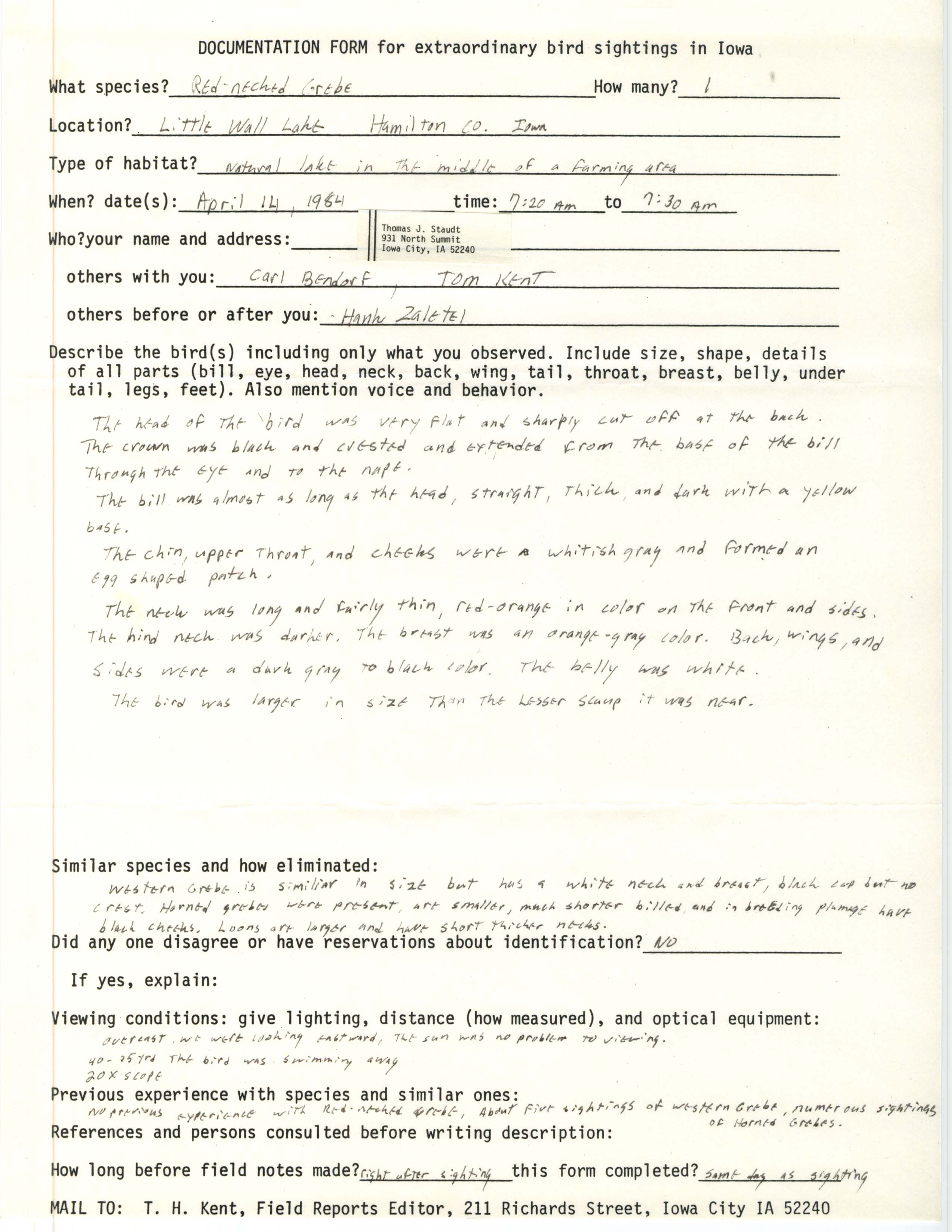 Rare bird documentation form for Red-necked Grebe at Little Wall Lake, 1984