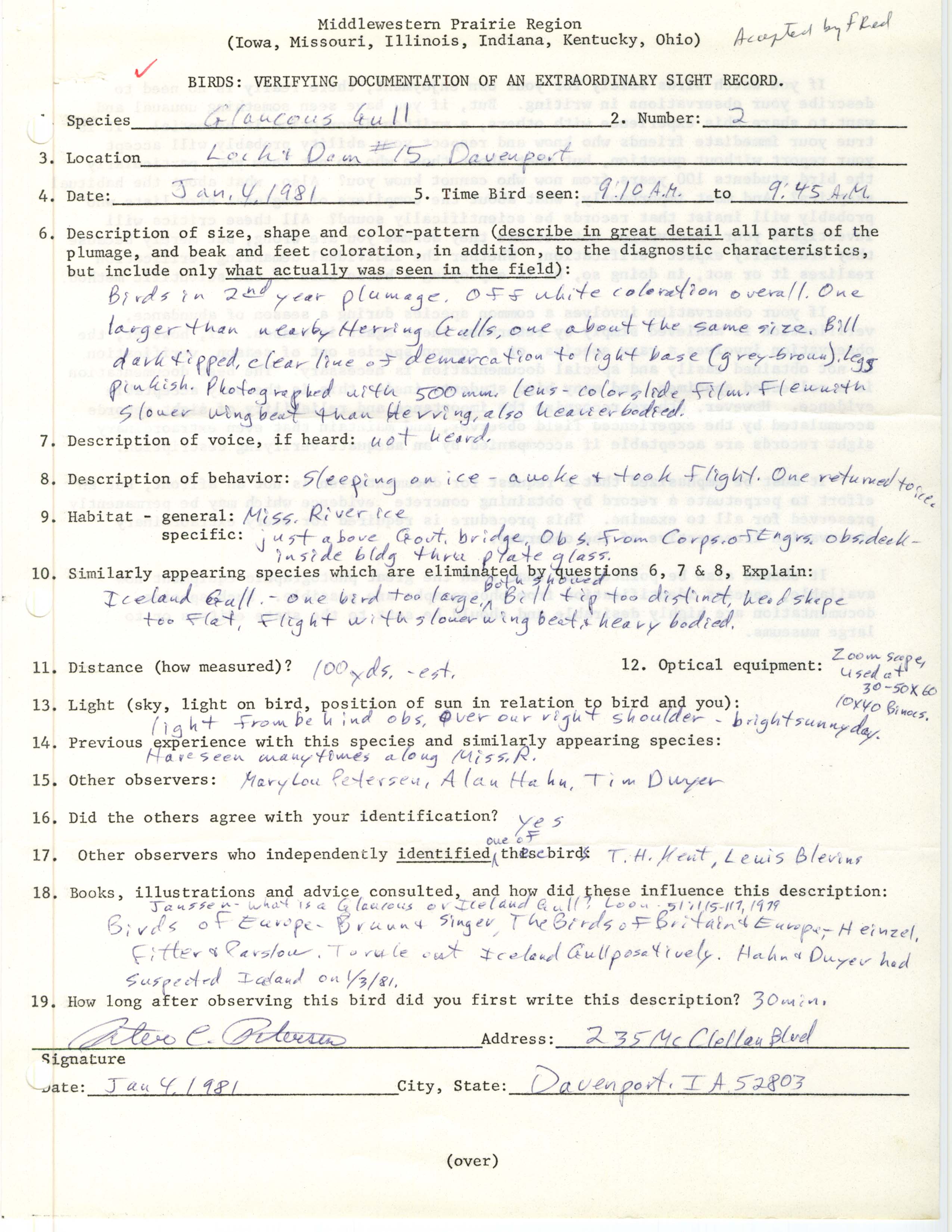 Rare bird documentation form for Glaucous Gull at Lock and Dam 15, 1981