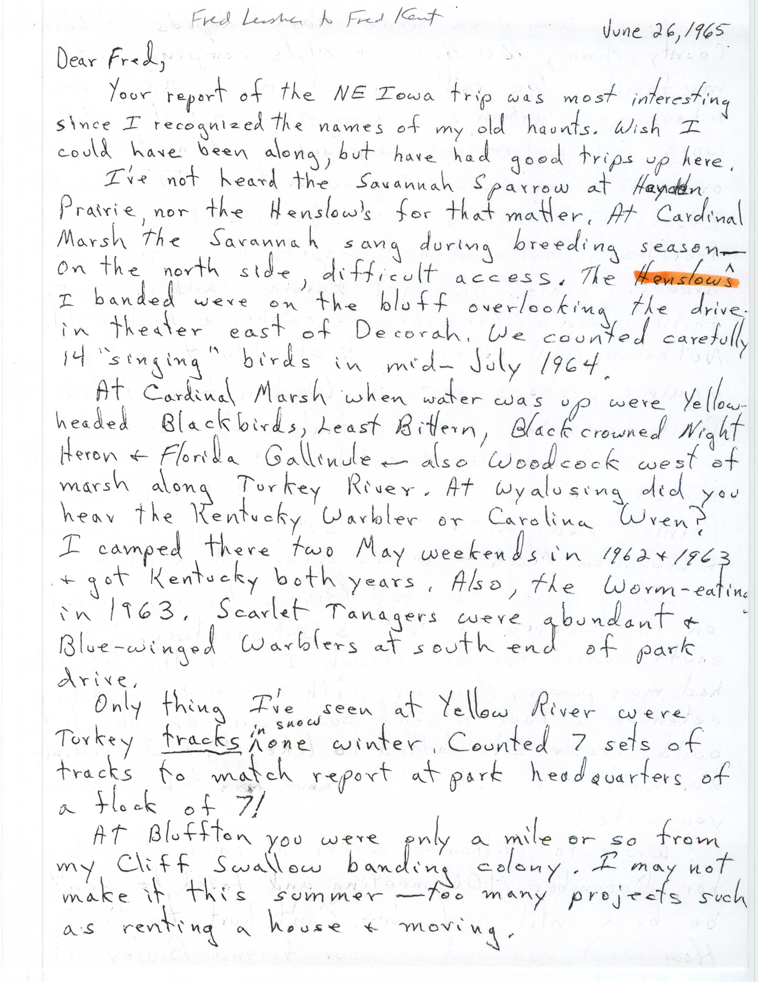 Fred Lesher letter to Fred Kent regarding bird sightings, June 26, 1965