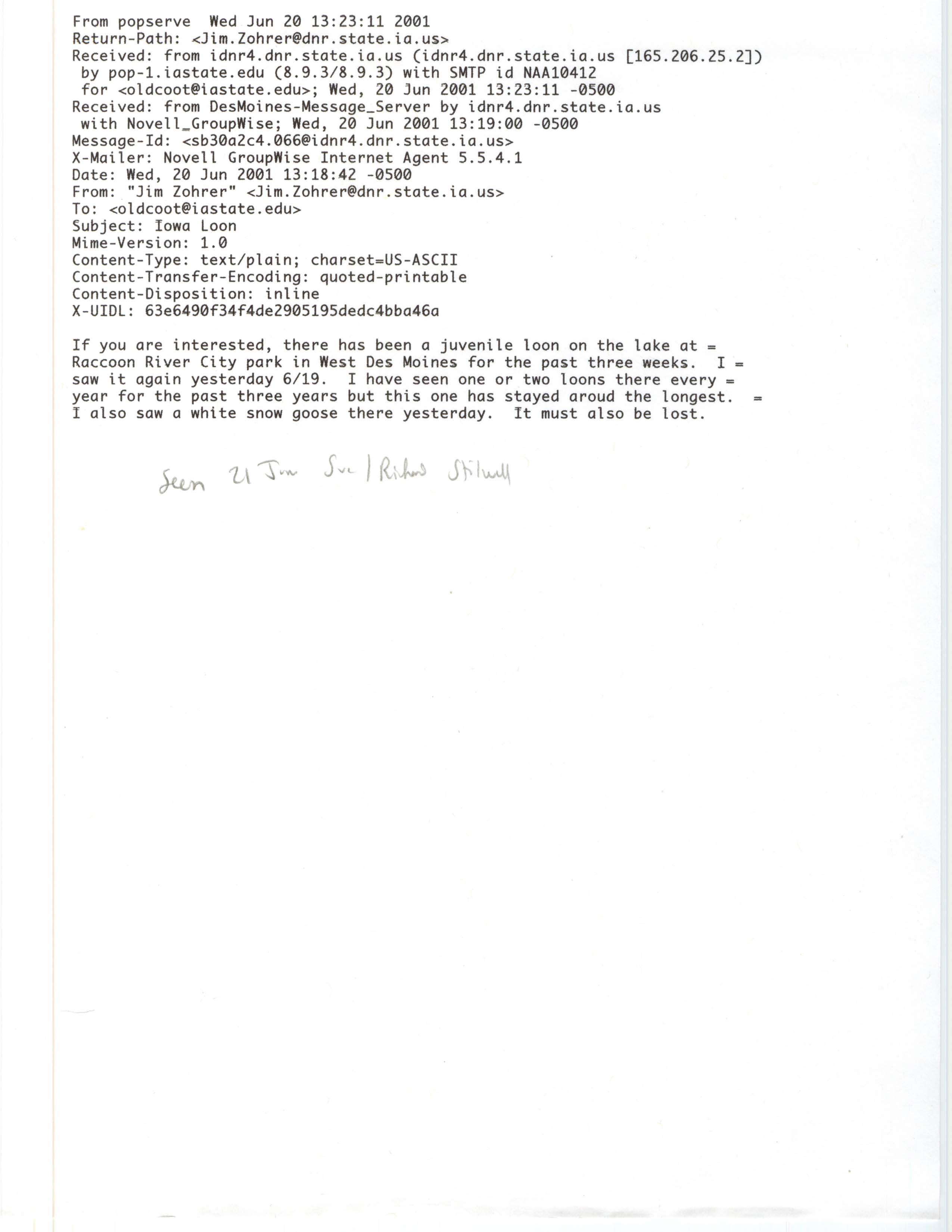 James J. Zohrer email to James J. Dinsmore regarding a juvenile Loon sighting, June 20, 2001