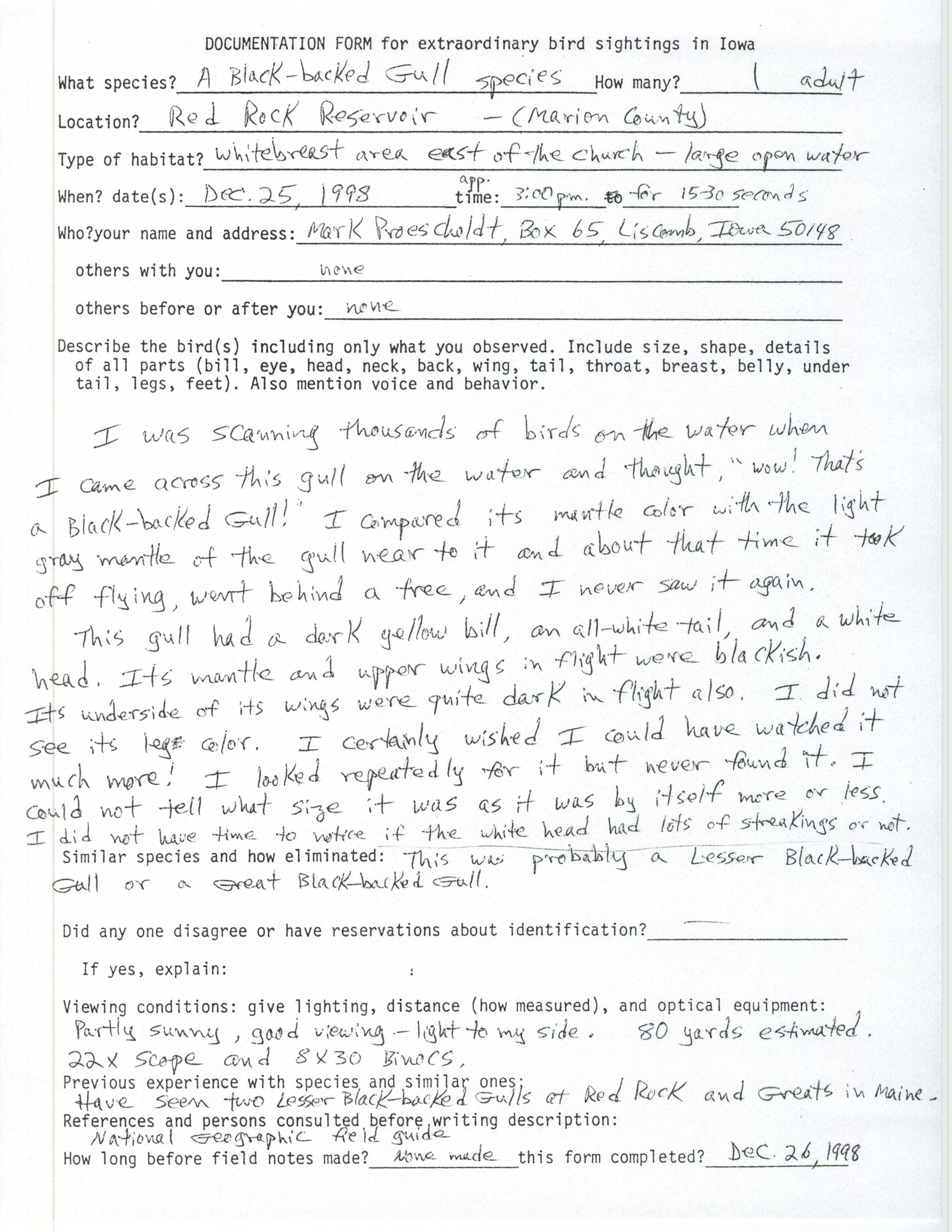Rare bird documentation form for Black-backed Gull species at Red Rock Reservoir, 1998